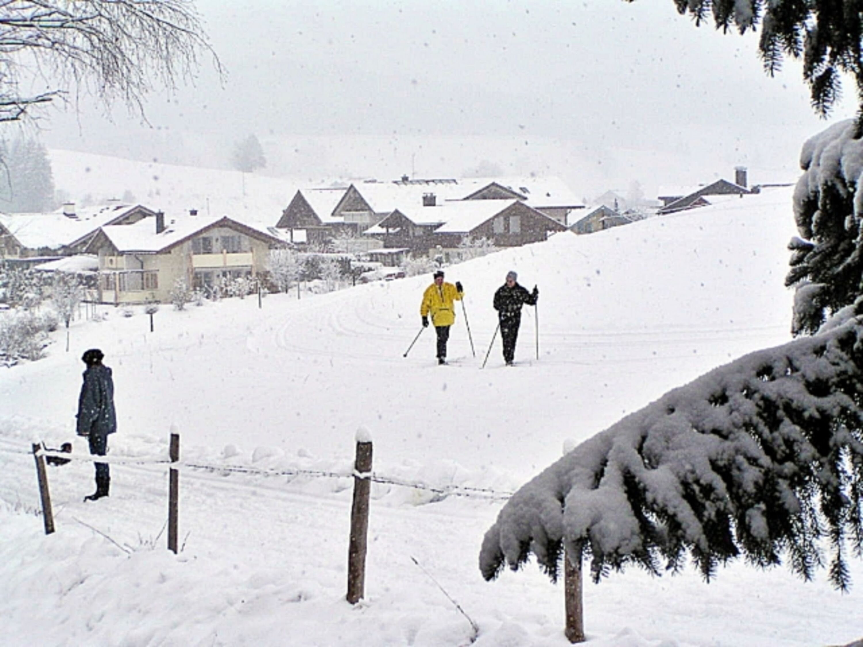 Auch Loipen und Winterwanderwege beginnen direkt hinter dem Haus (idealer Ausgangspunkt zur Entdeckung der Umgebung ganz ohne Auto, zumal Busse und Bahnen für unsere Gäste gratis nutzbar sind !!!)