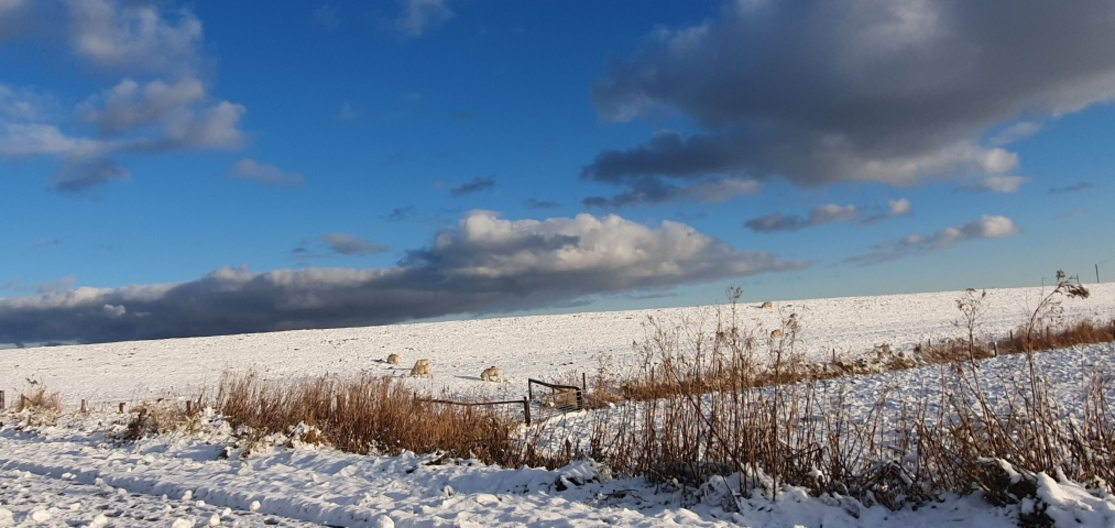 Die Ruhe im Winter genießen