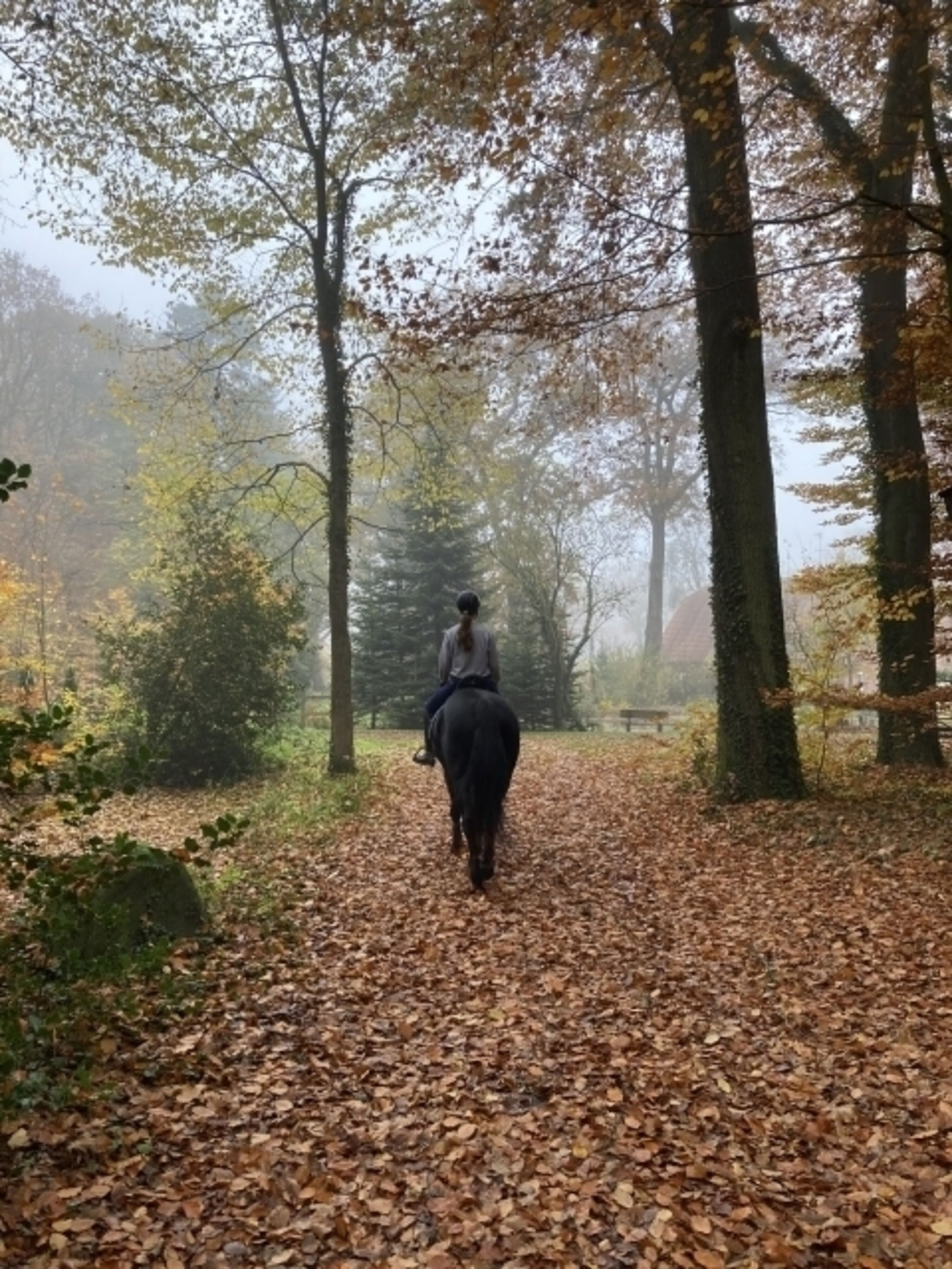 Herbstsausritt 