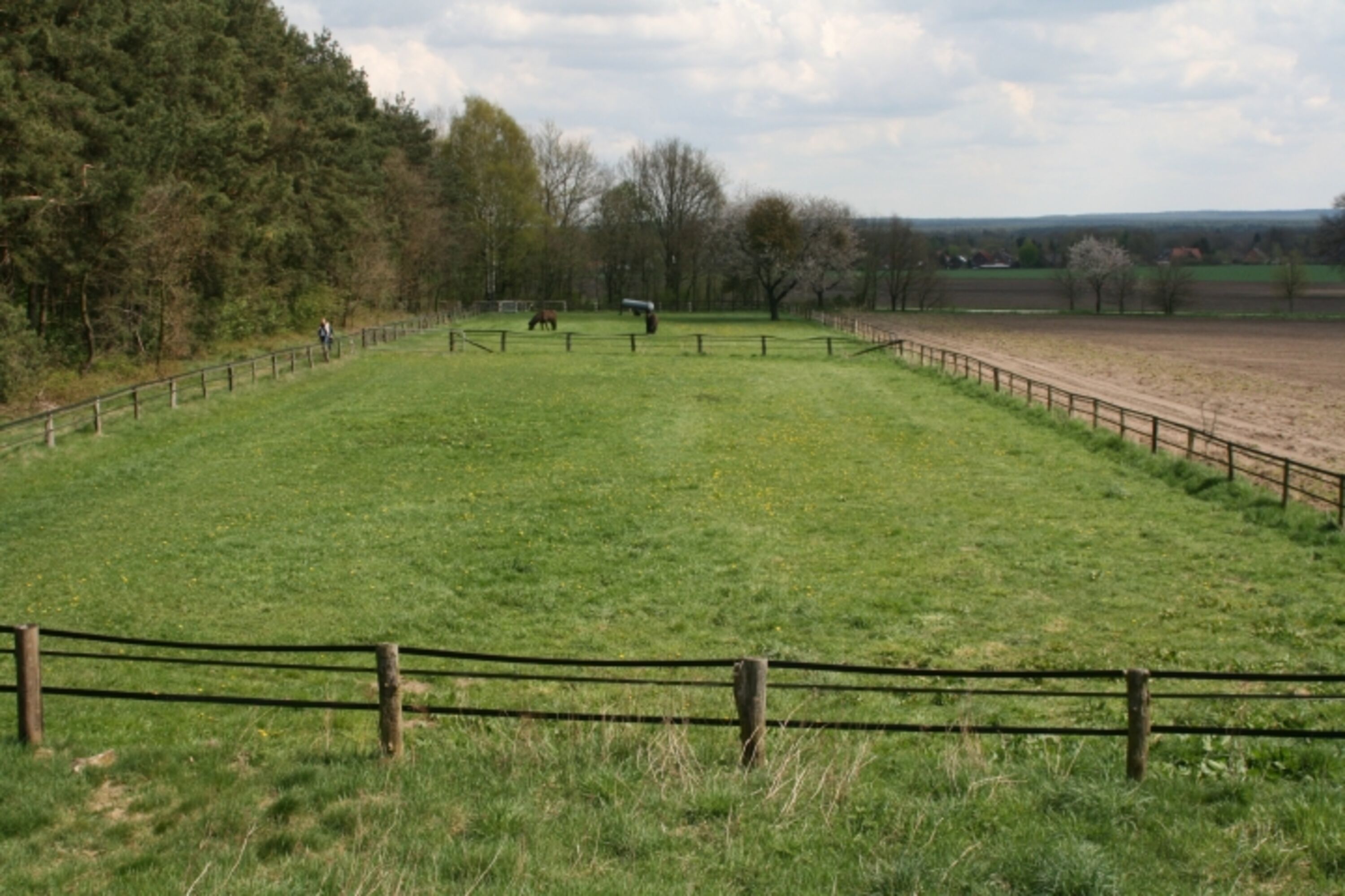 Pferdeweide