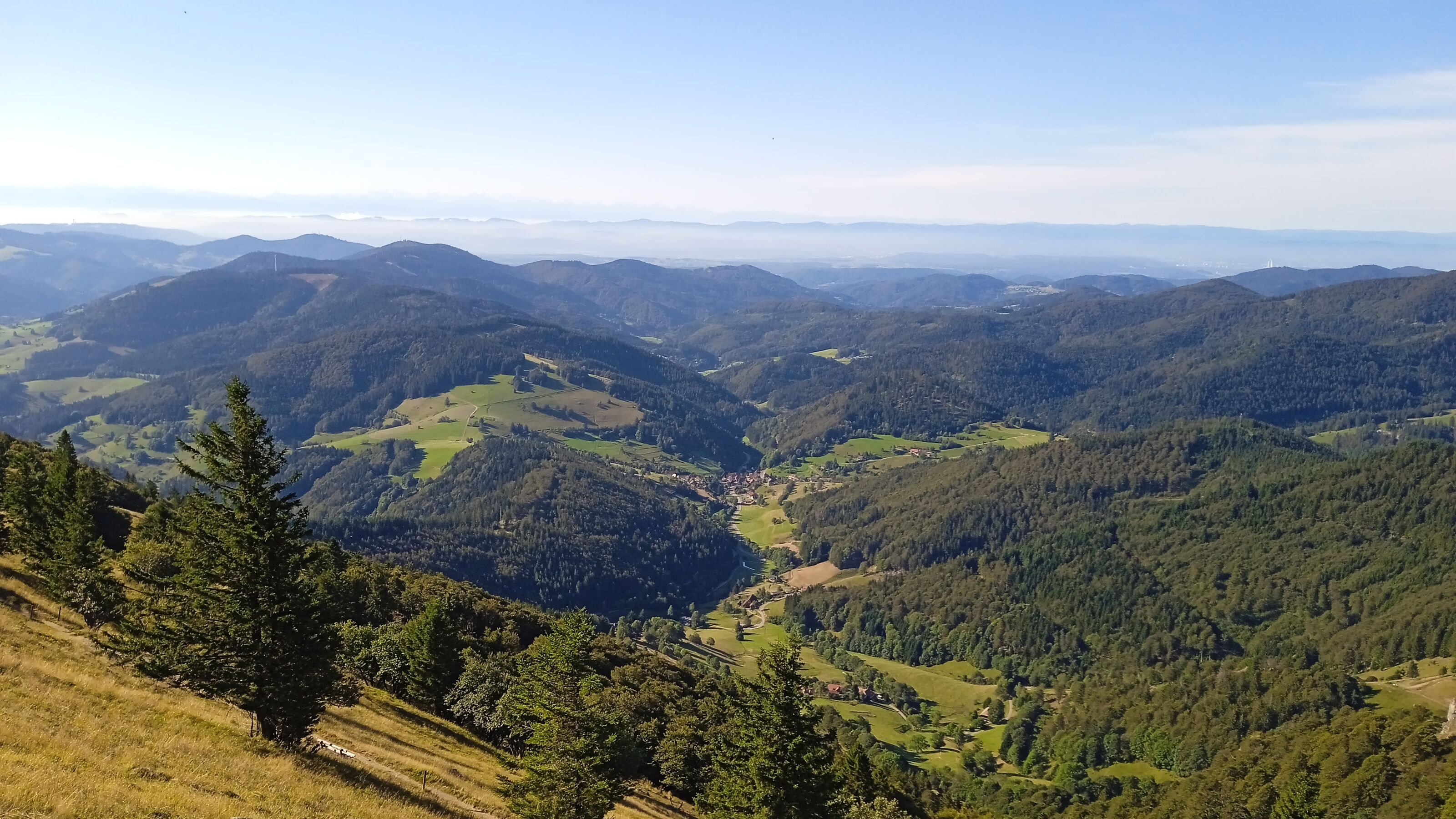 Südschwarzwald