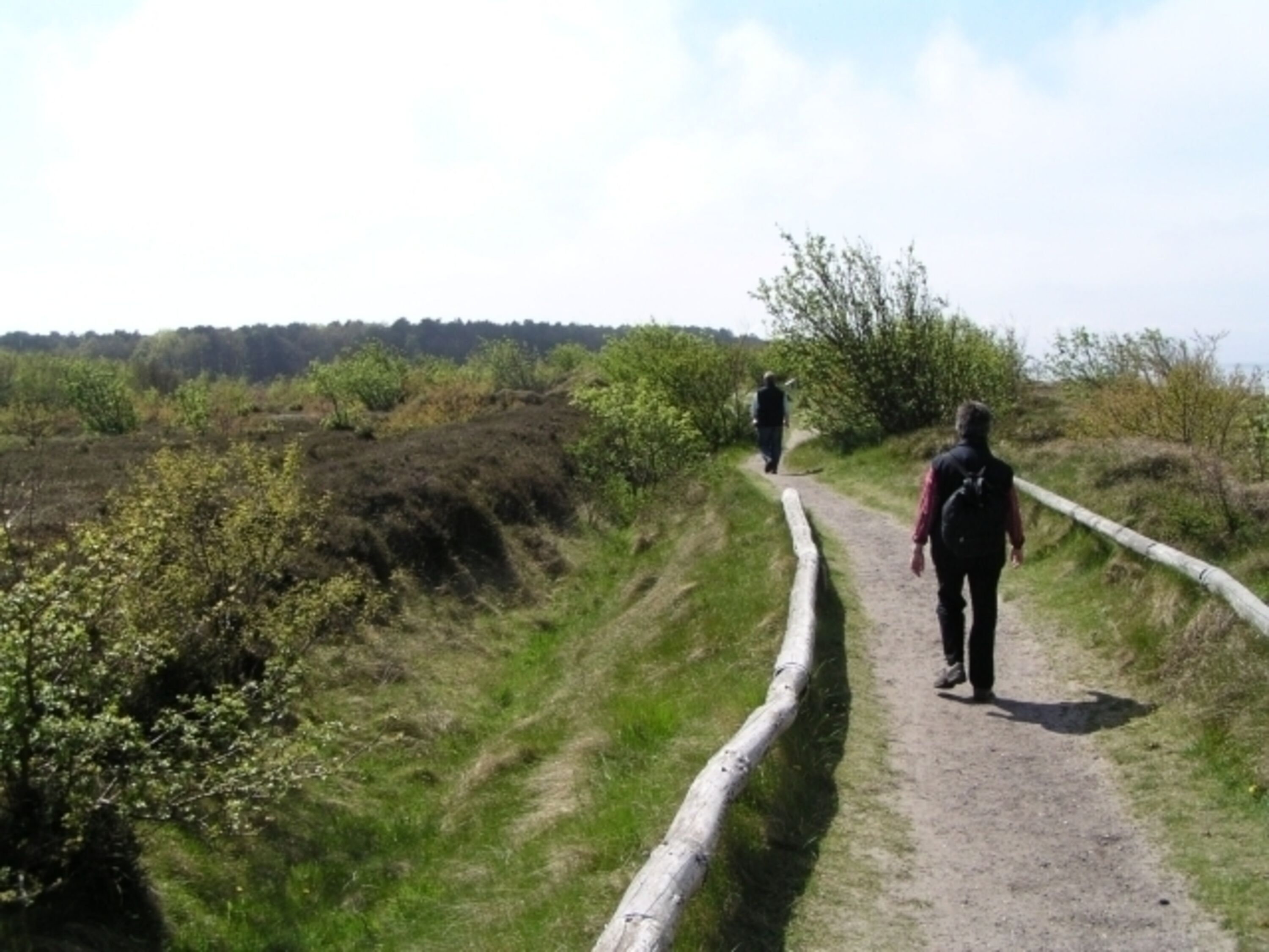 Natur pur rund um Cuxhaven-Duhnen (so gibt es z. B. Heidelandschaften und Moore)