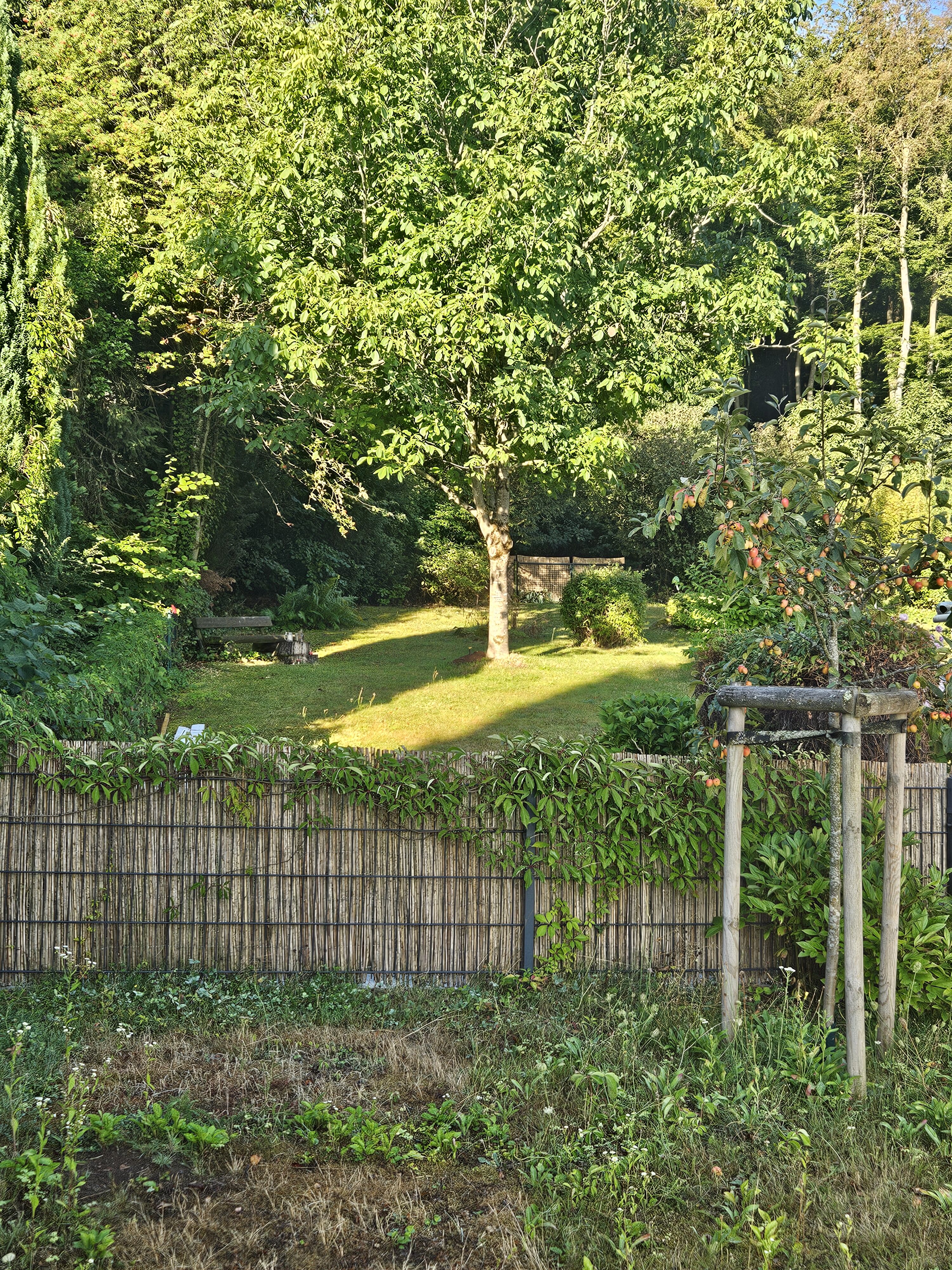 Komplett eingezäunten Garten