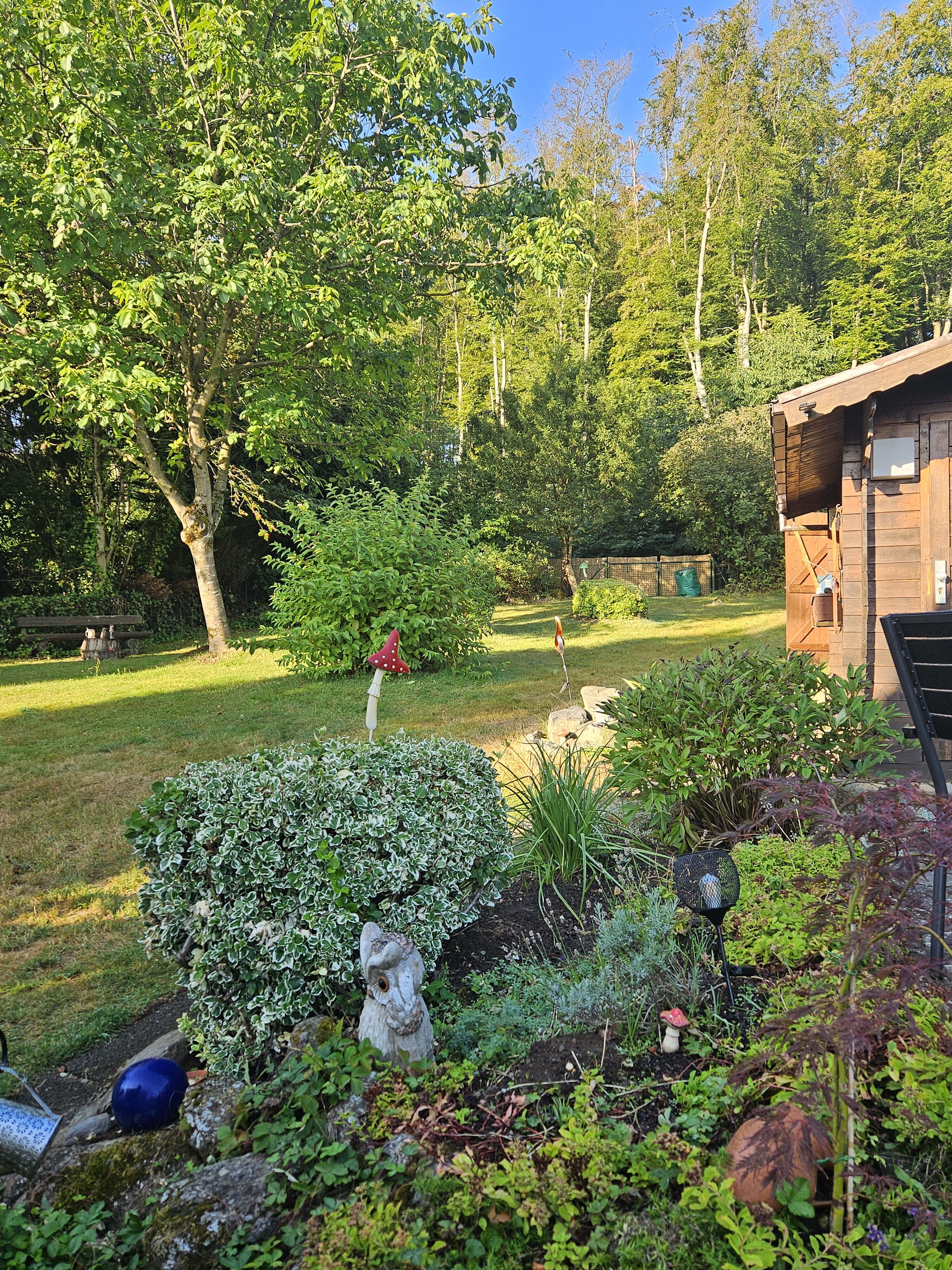 An der Grundstücksrückseite Ausgang in den Wald/zu den Wanderwegen