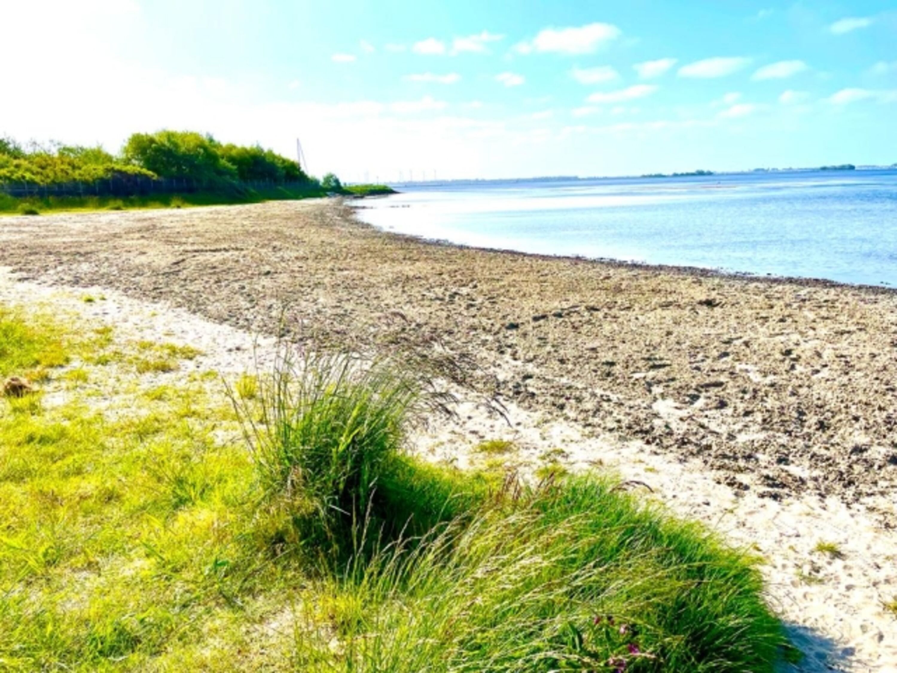 Herkingen Beach nur 50 Meter entfernt