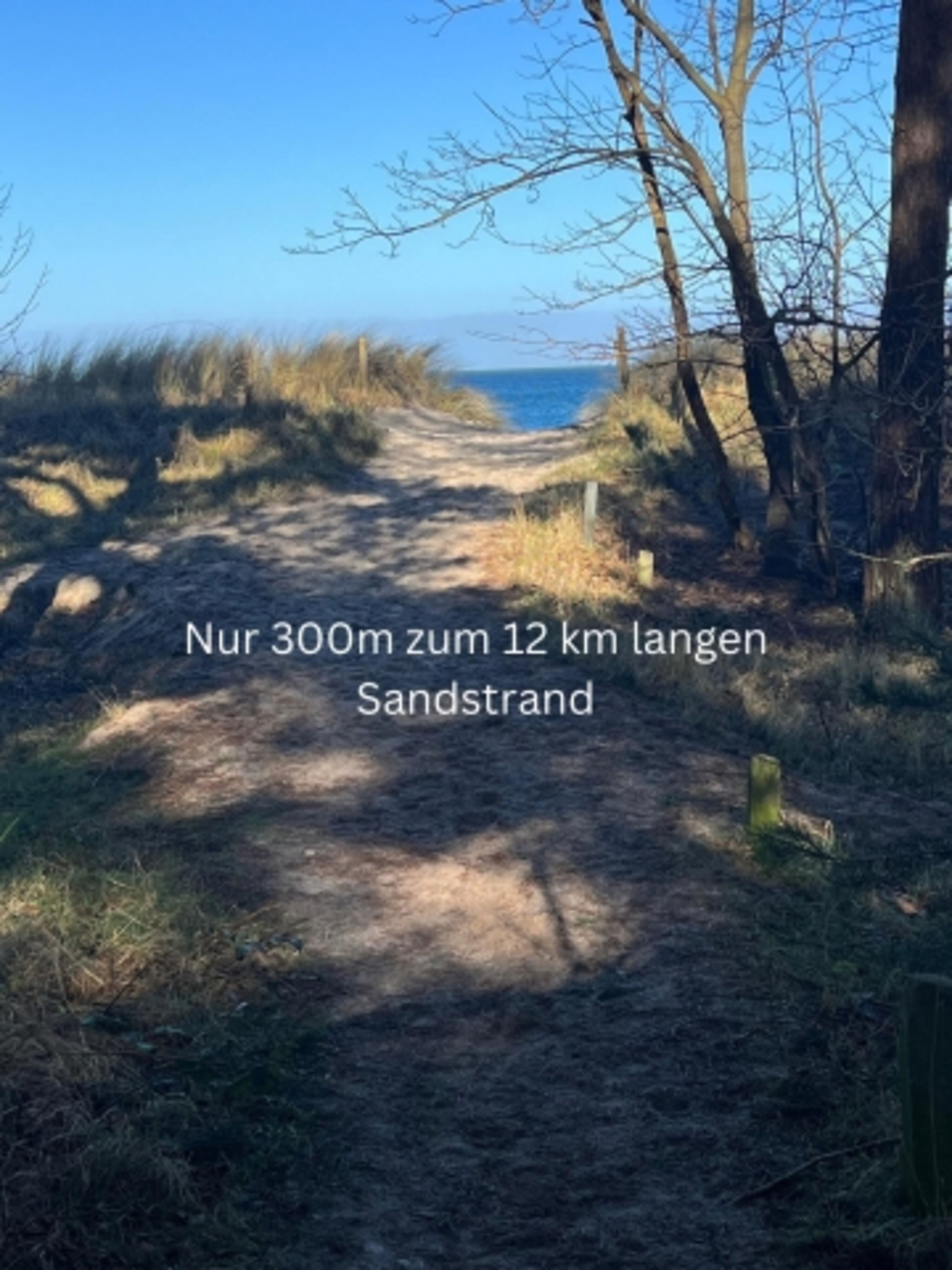 Der Weg zum Hundestrand