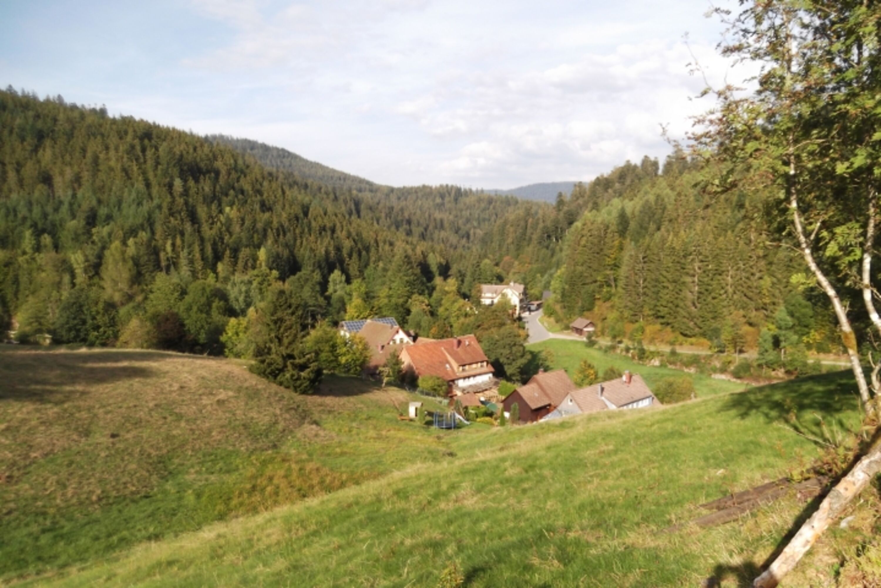 Bild 24