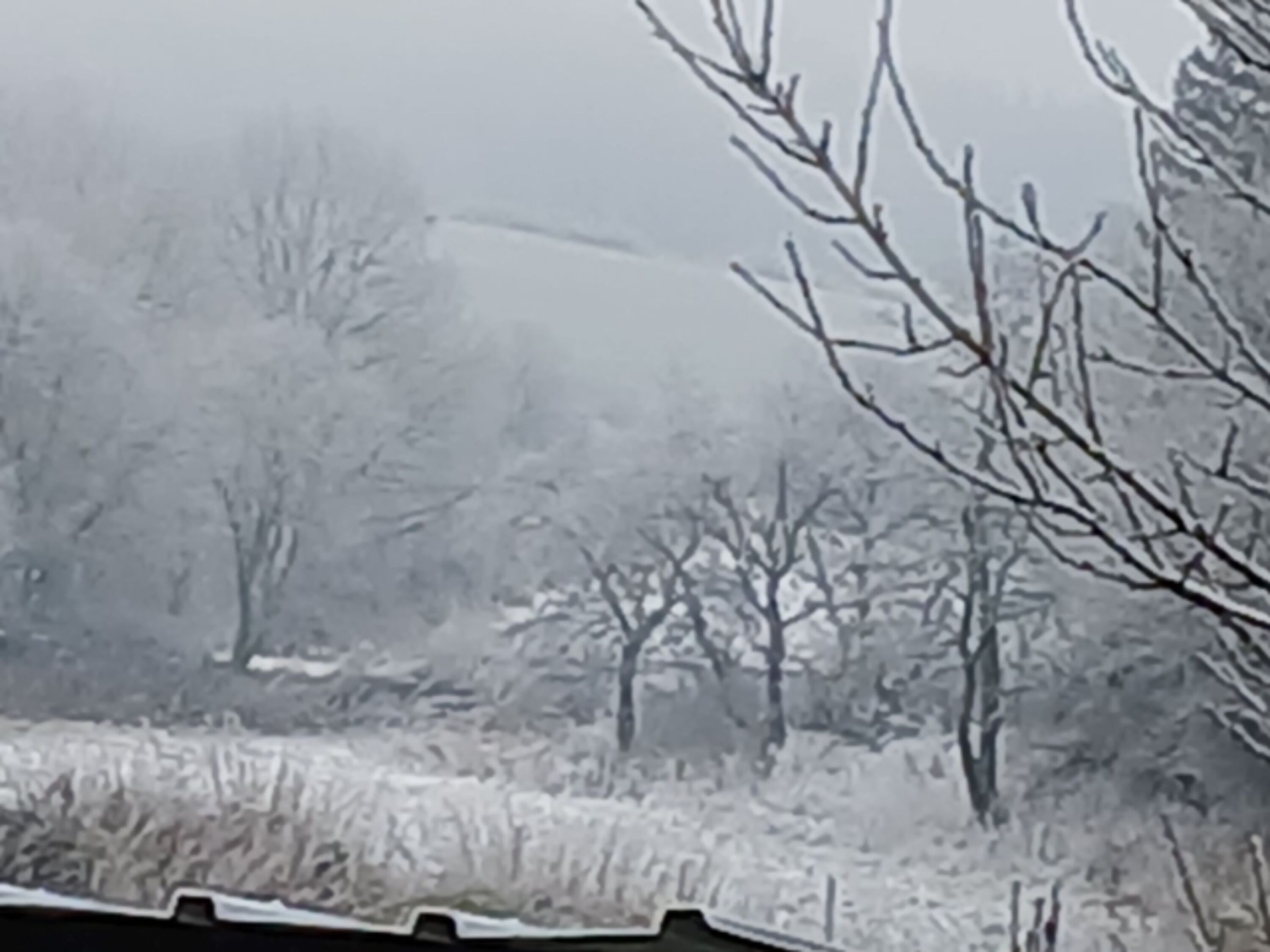 Winterlandschaft