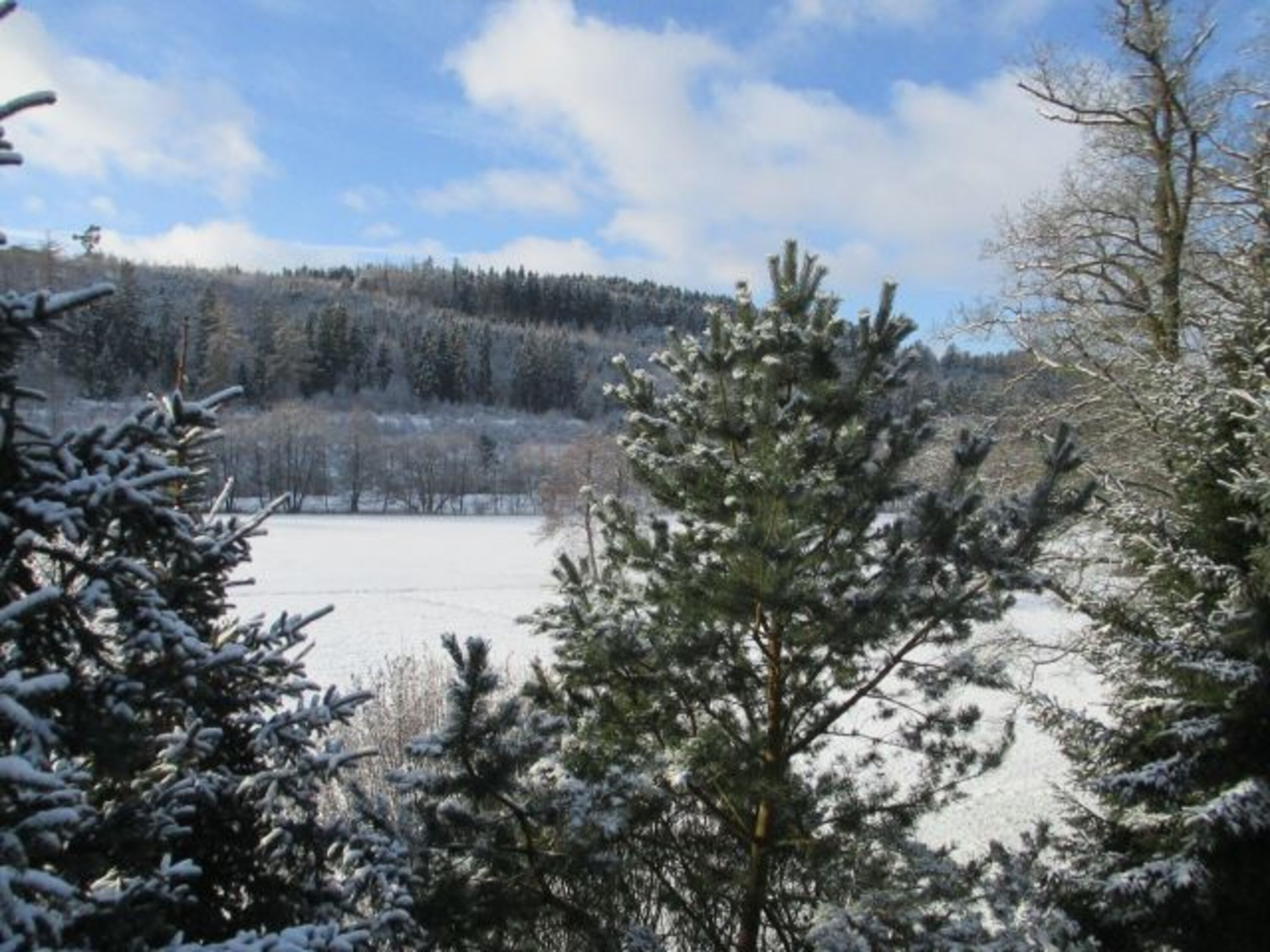 :-) Schneewandern, Skilanglauf, Skifahren, Snowboard ( ca. 10 km )