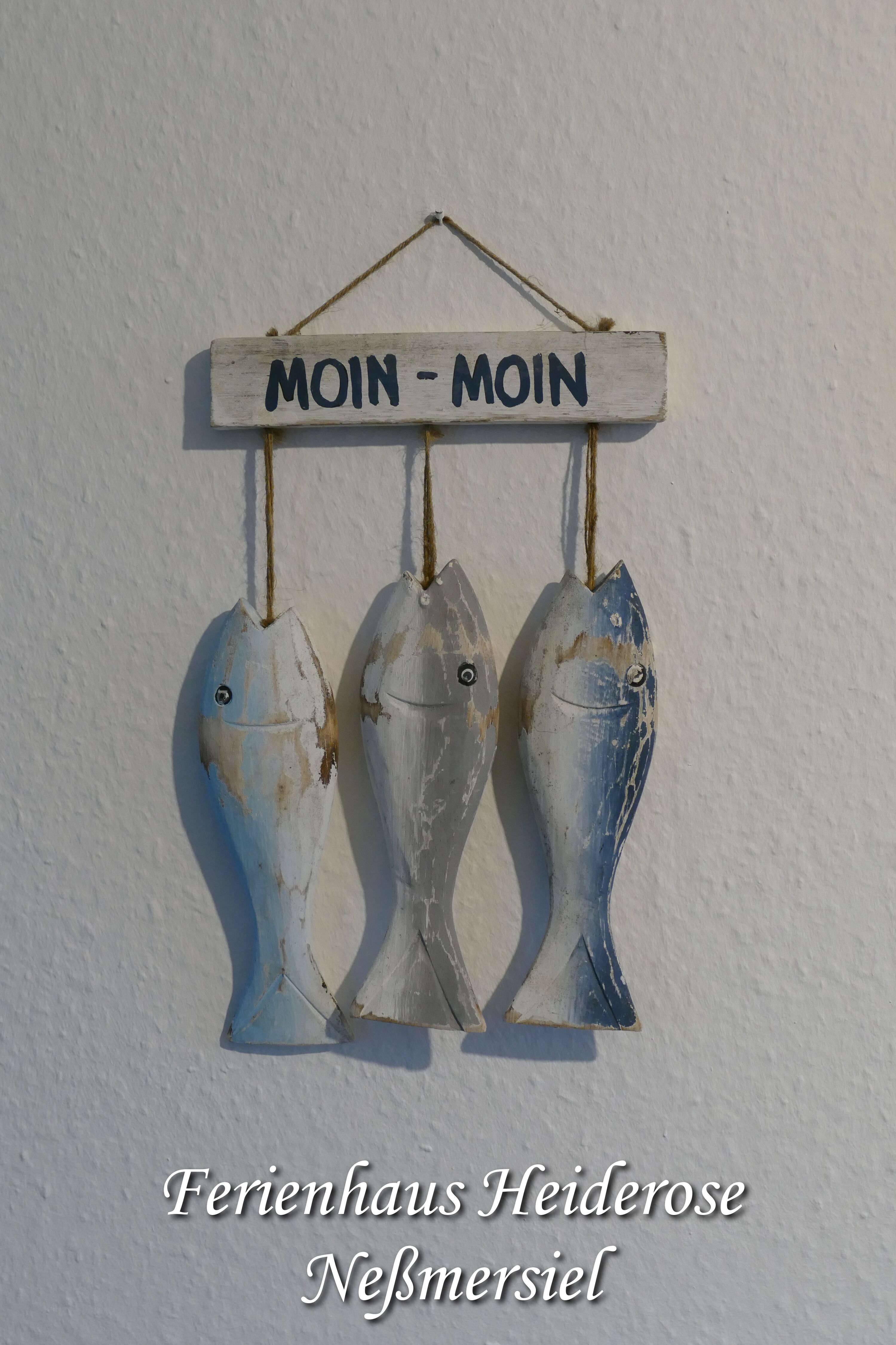 Bild 19