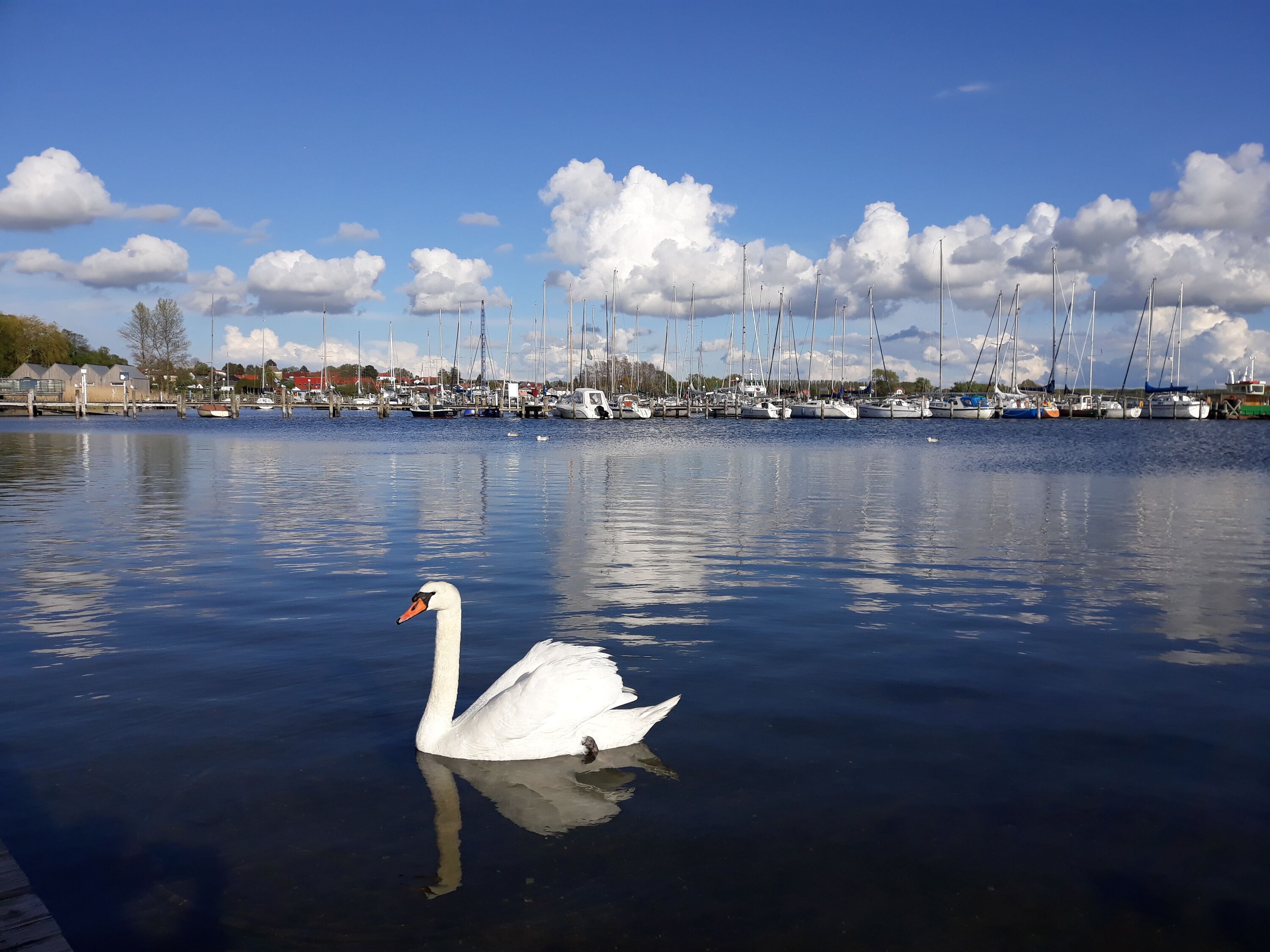 Hafen am Salzhaff von Rerik