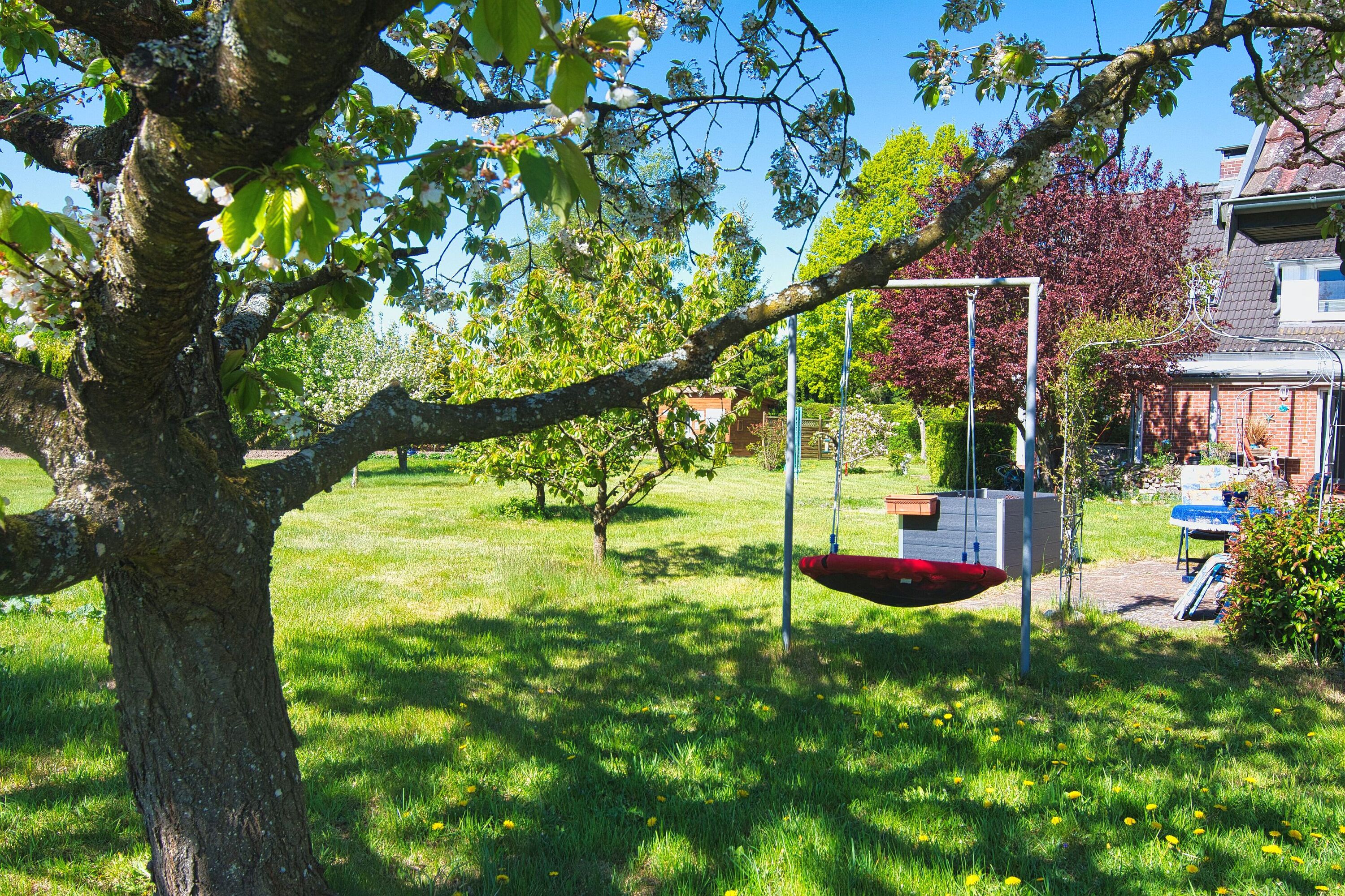 Nestschaukel zum relaxen