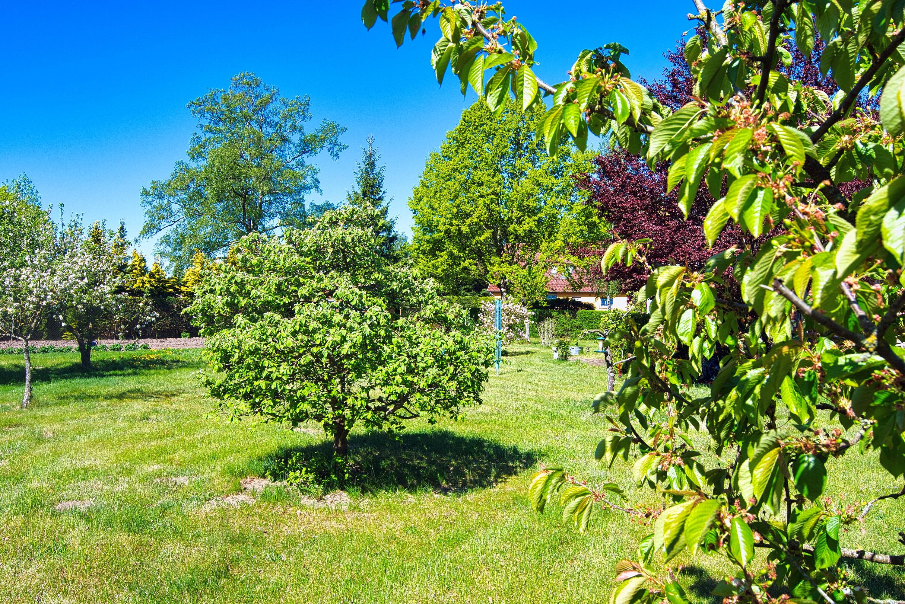 Ausblick in den Garten