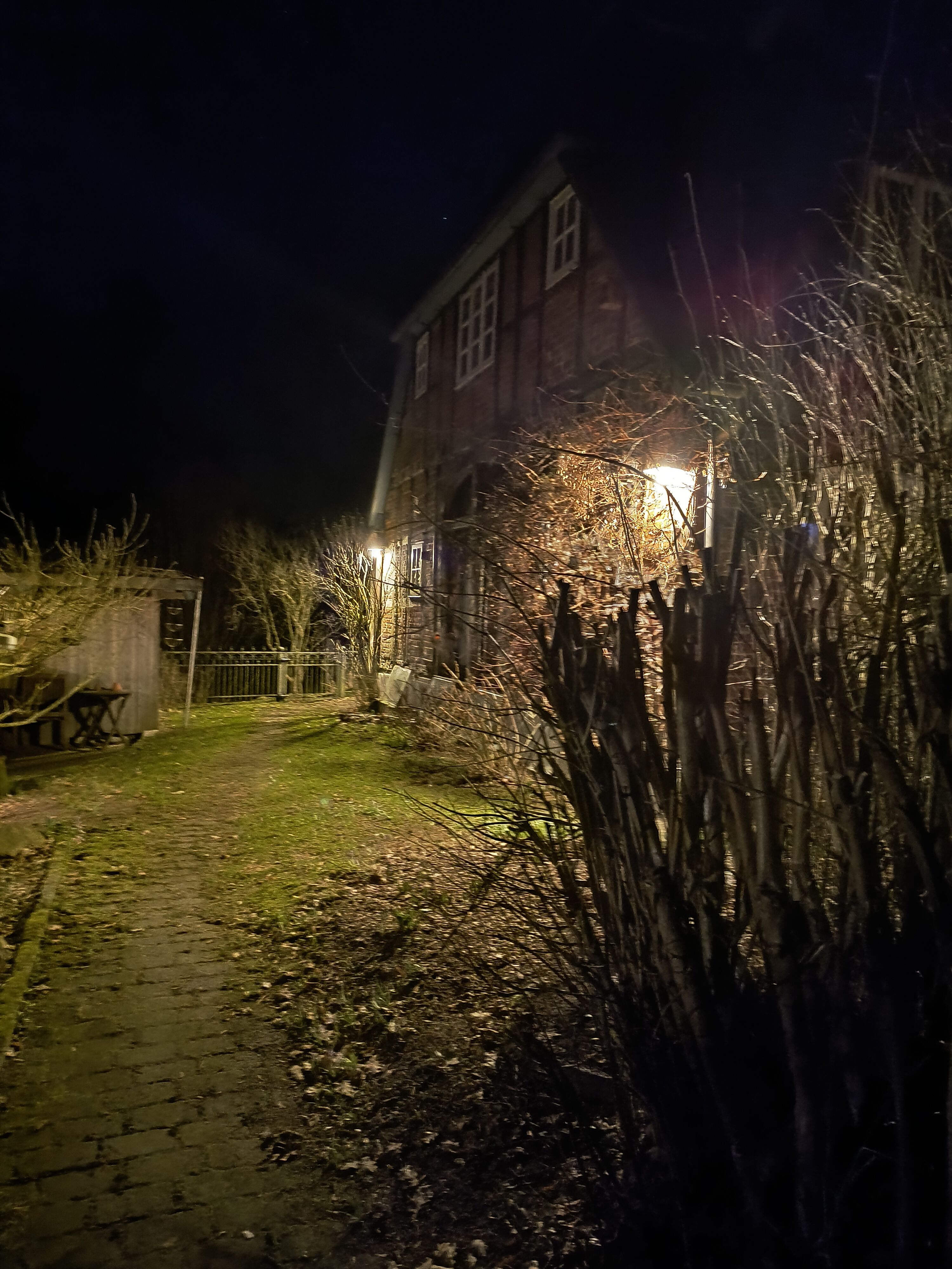 Garten bei Nacht