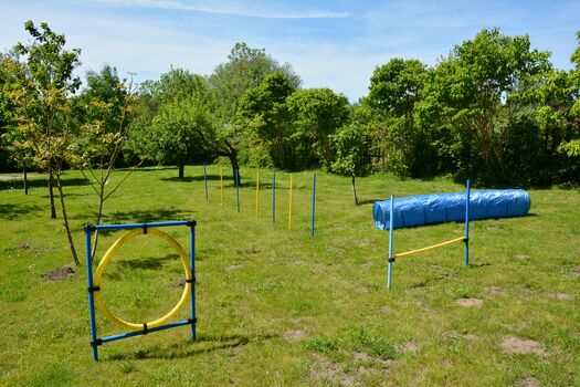 Obstwiese mit Agility