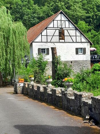 Bild 2