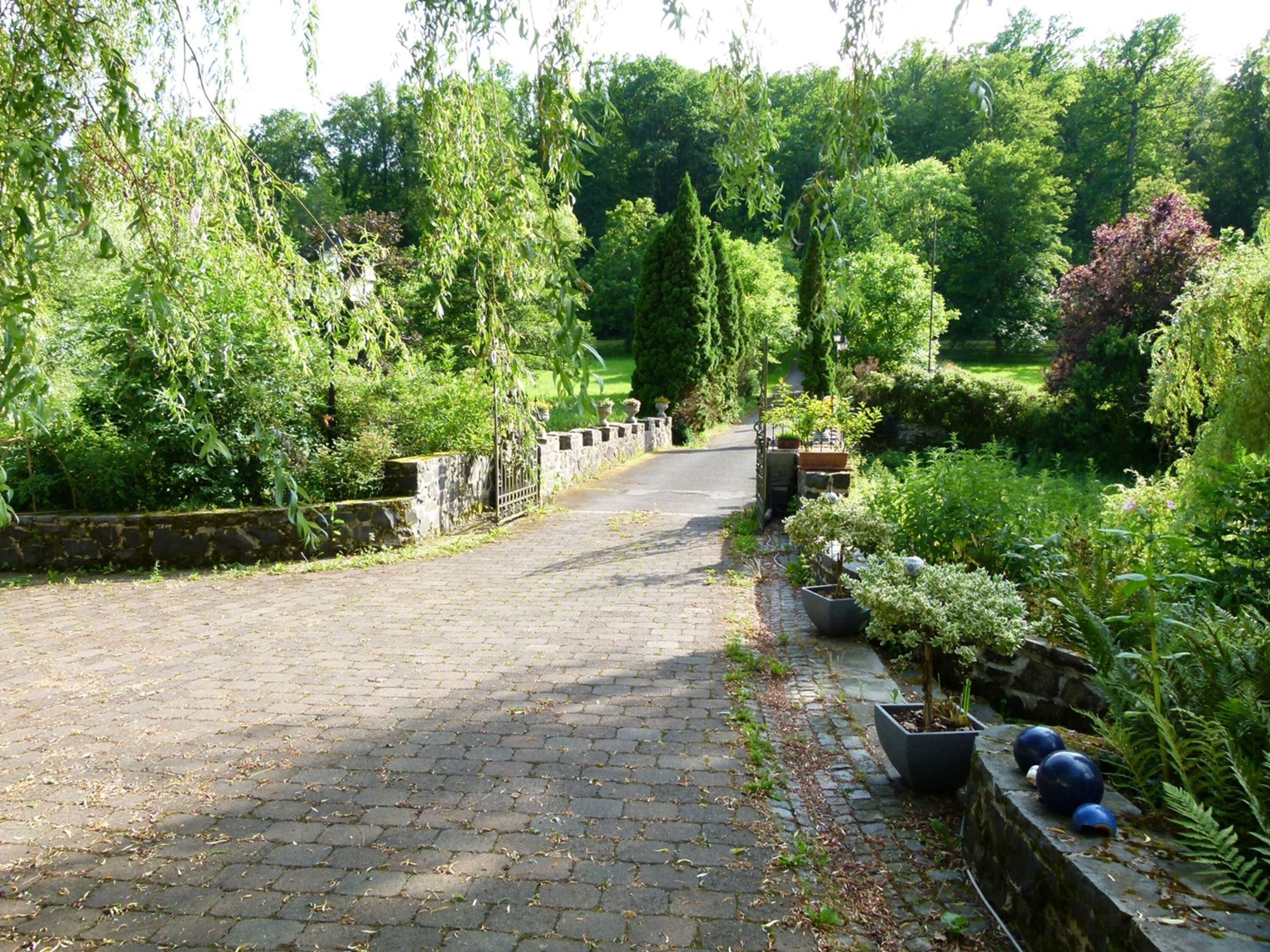 Bild 24