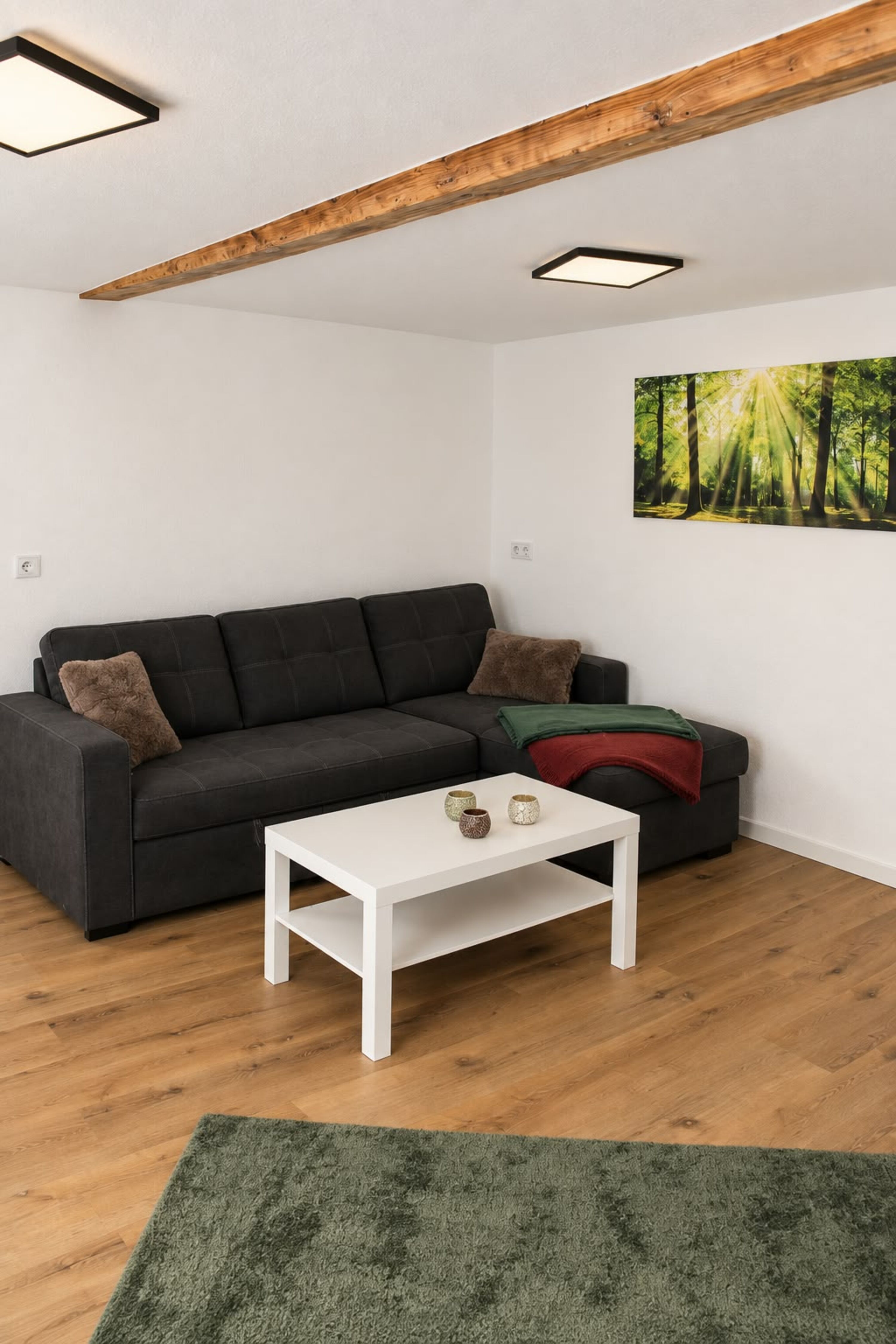 Wohnzimmer mit Schlafcouch