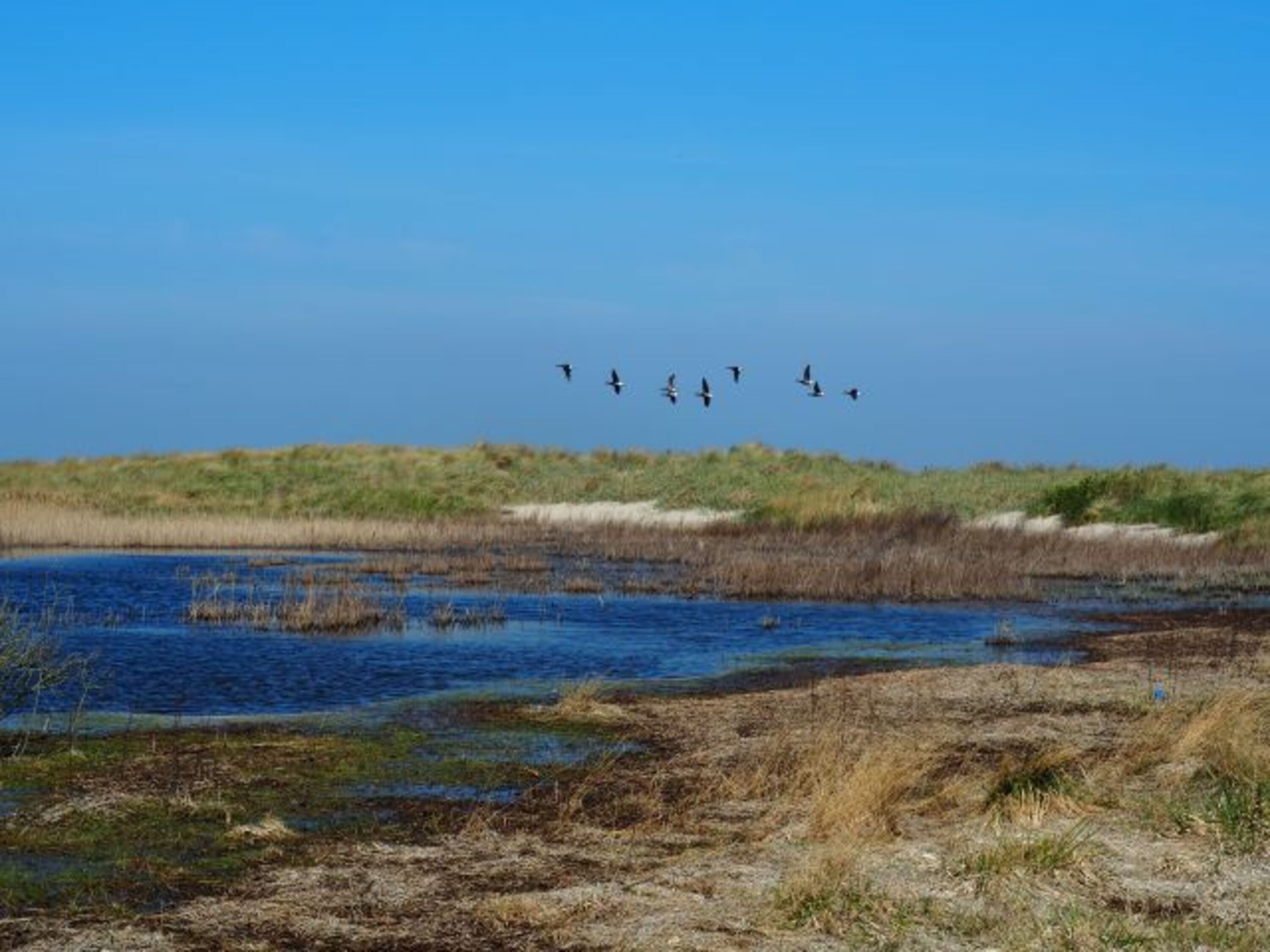 Weltnaturerbe Wattenmeer vor der Haustür