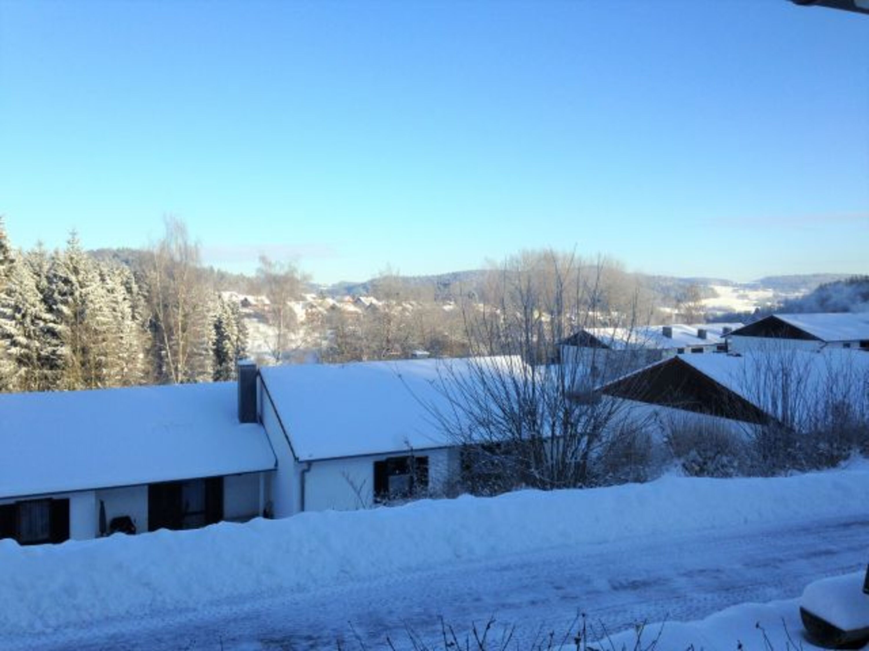 Winter 