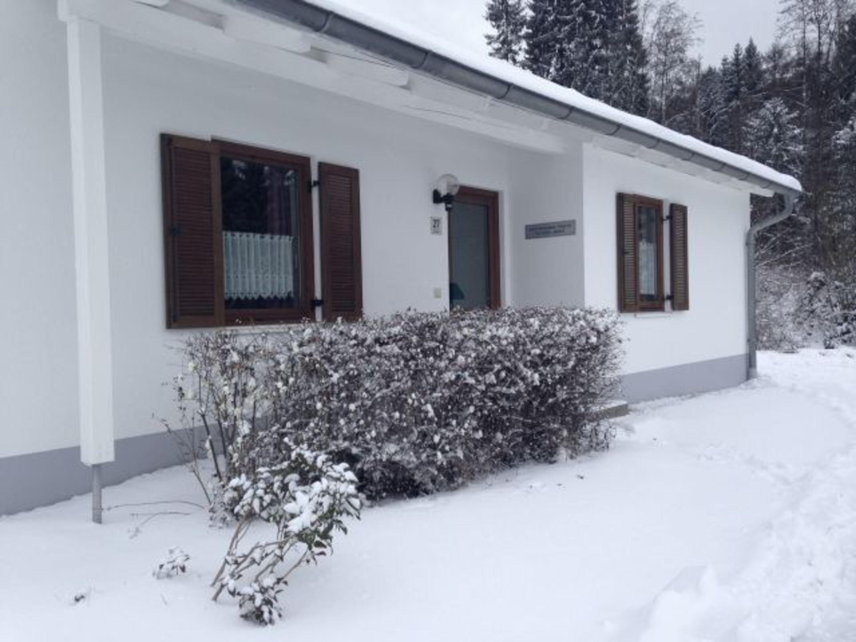 Winter 