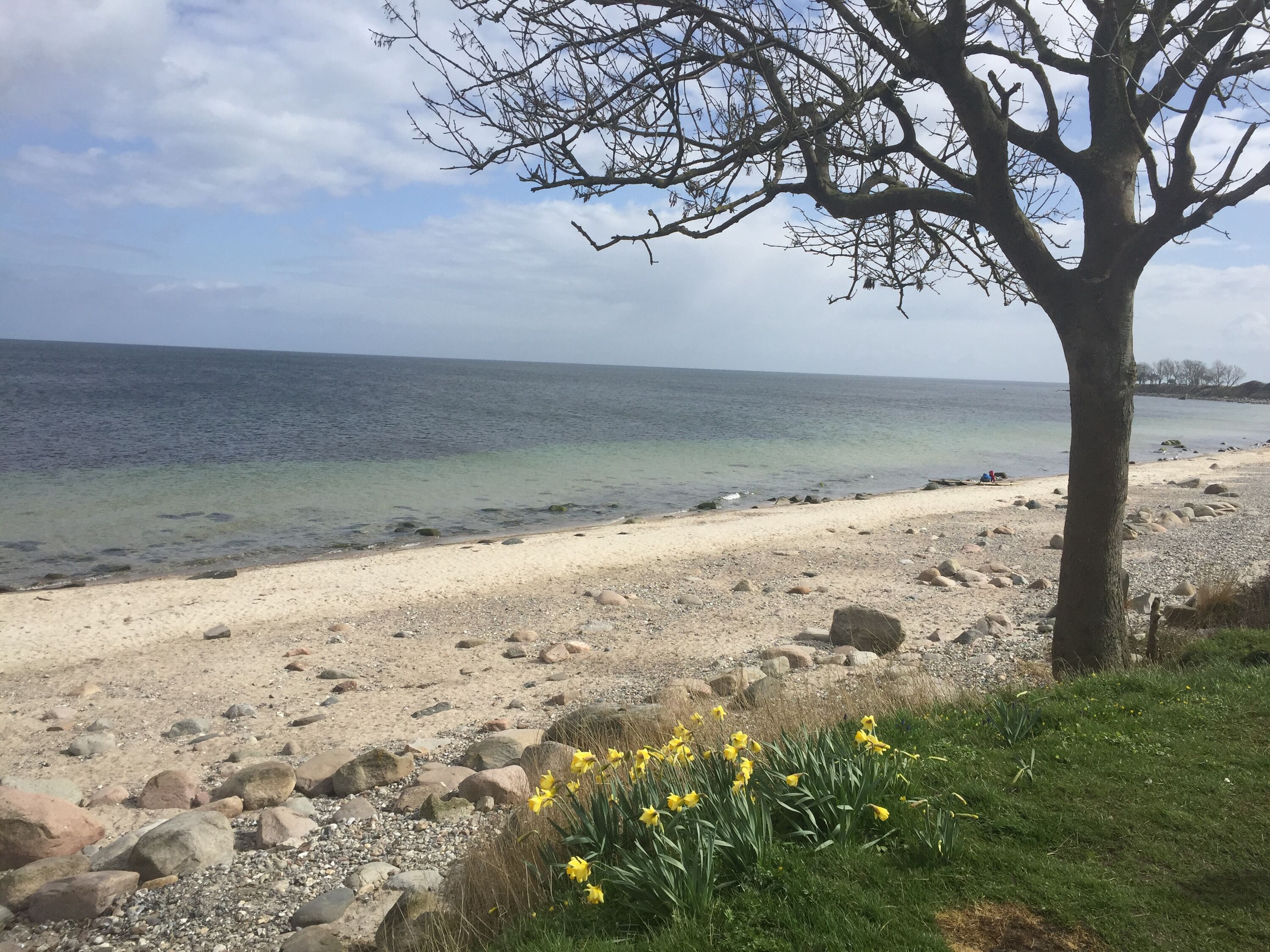 Einmal Fehmarn immer Fehmarn
