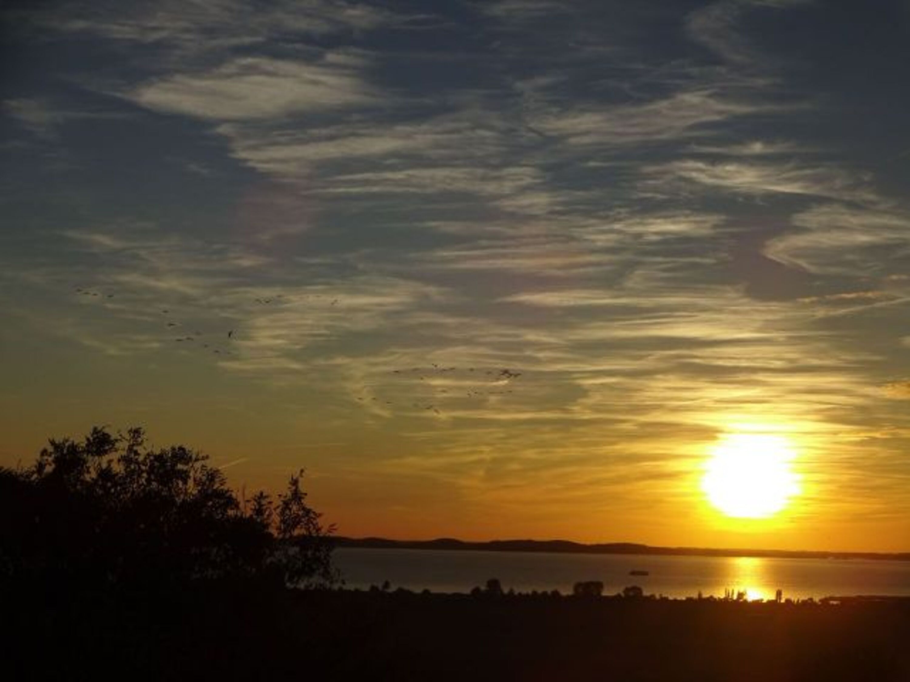 Sonnenuntergang mit Kranichen über dem Bodden