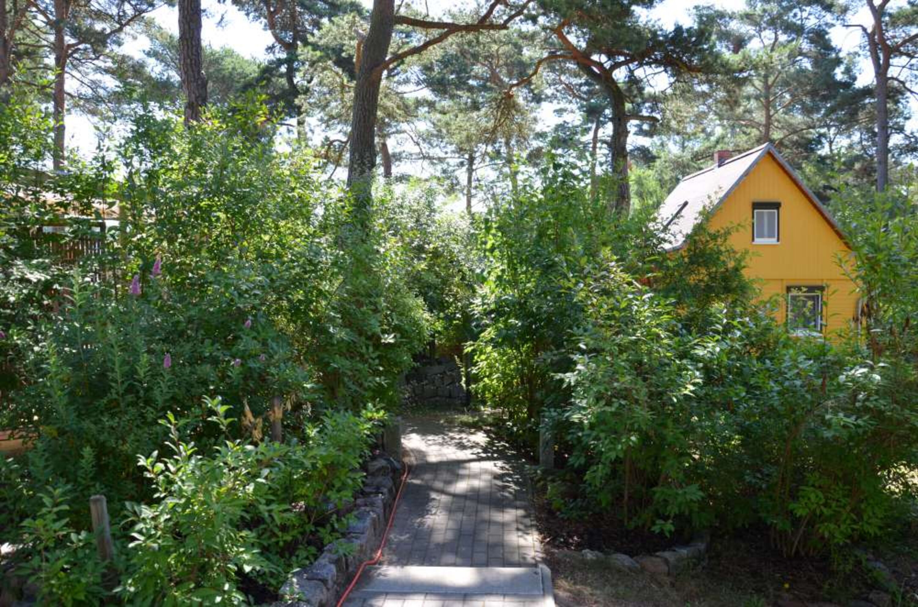 Bild 12