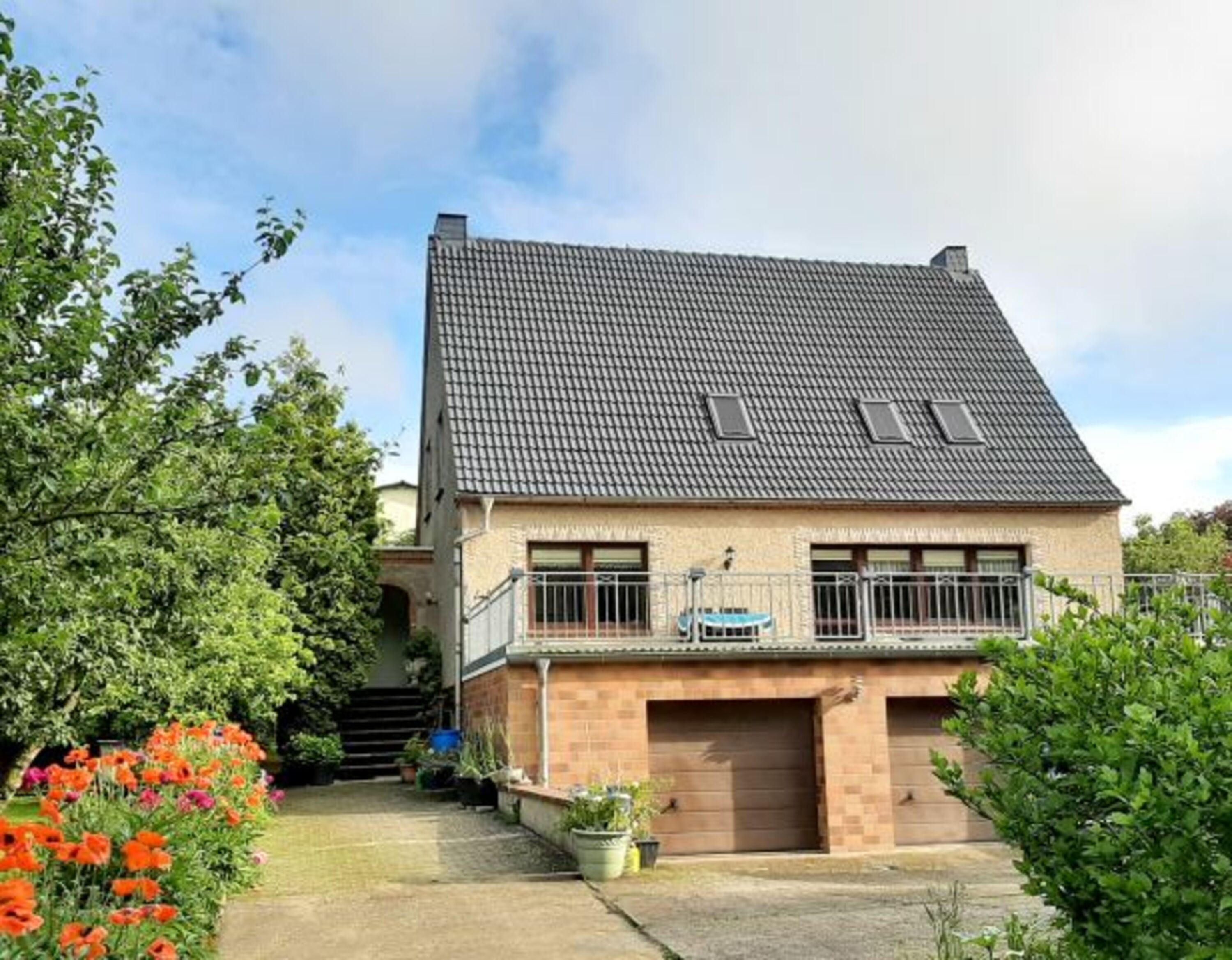 Bild 11