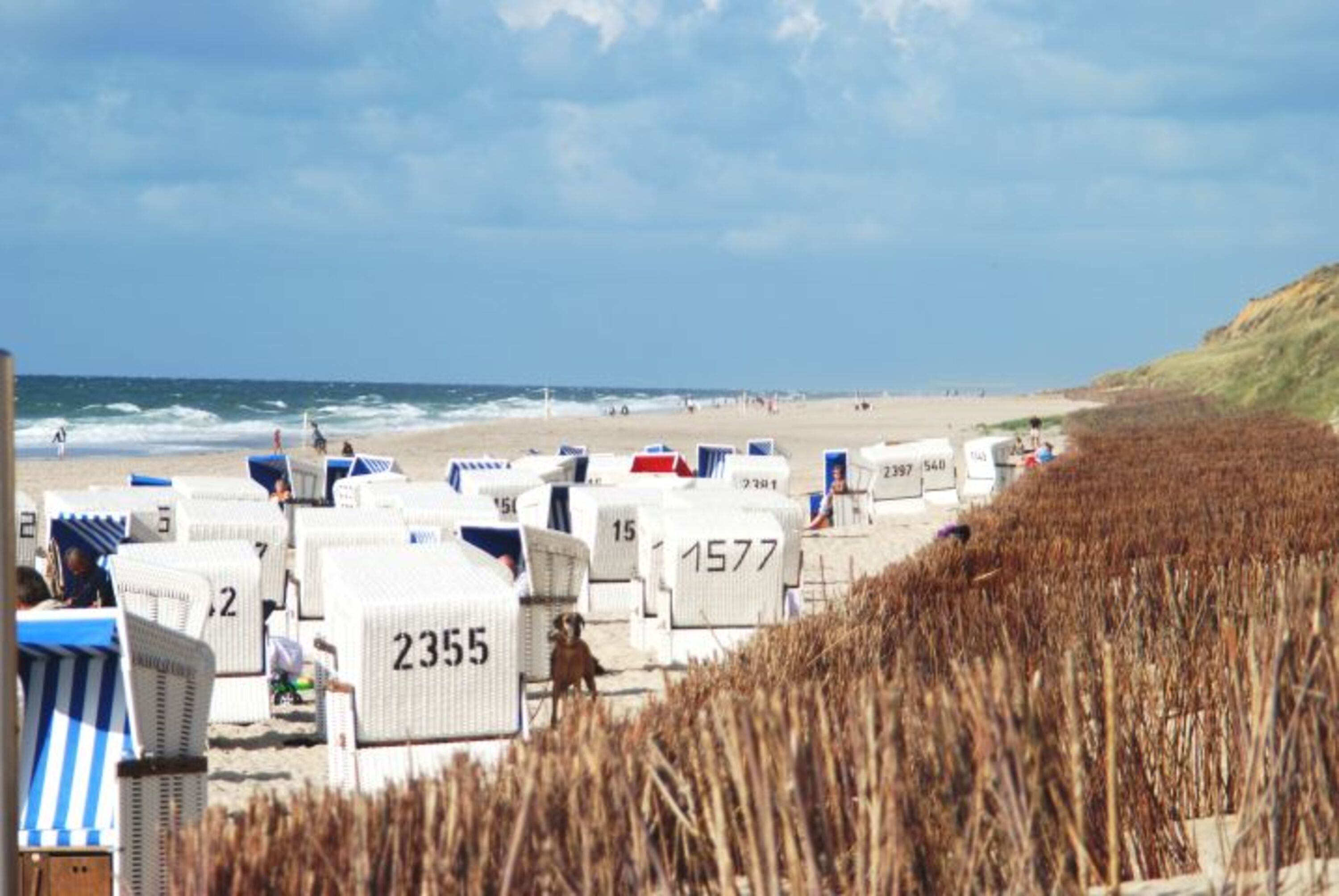 Hundestrand