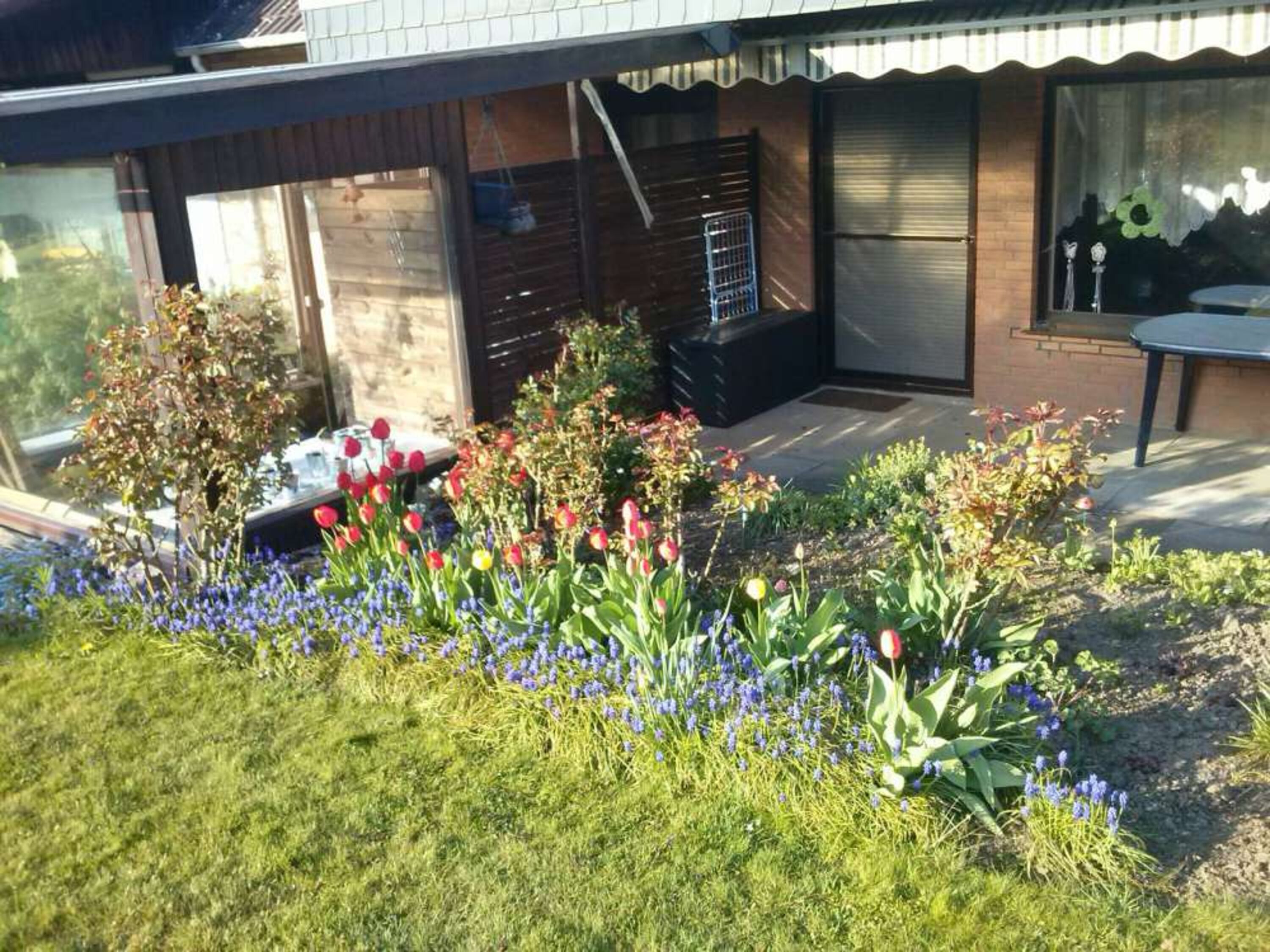 Terrasse mit Blick in den Garten (Frühling)