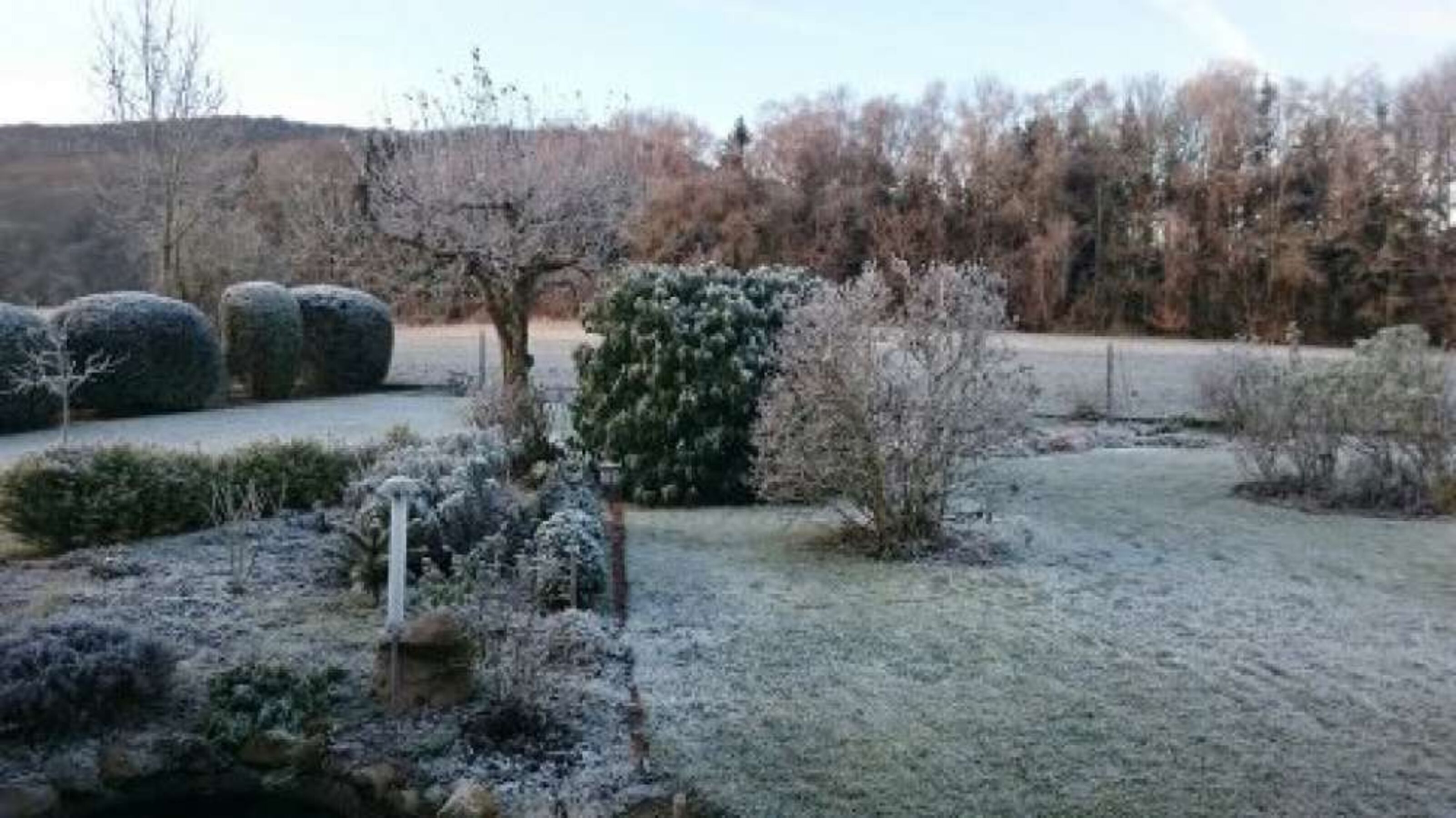 Blick in den Garten (Winter)