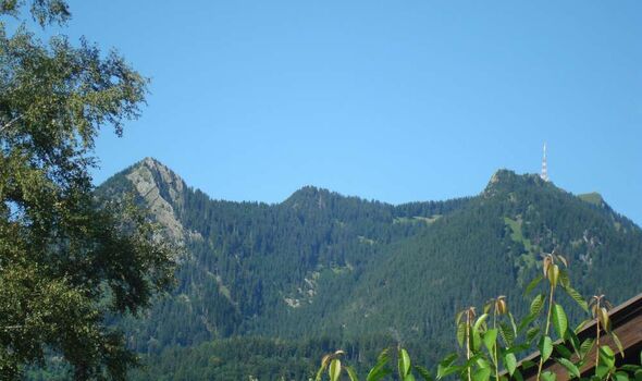 Blick auf den Hausberg - den Grünten