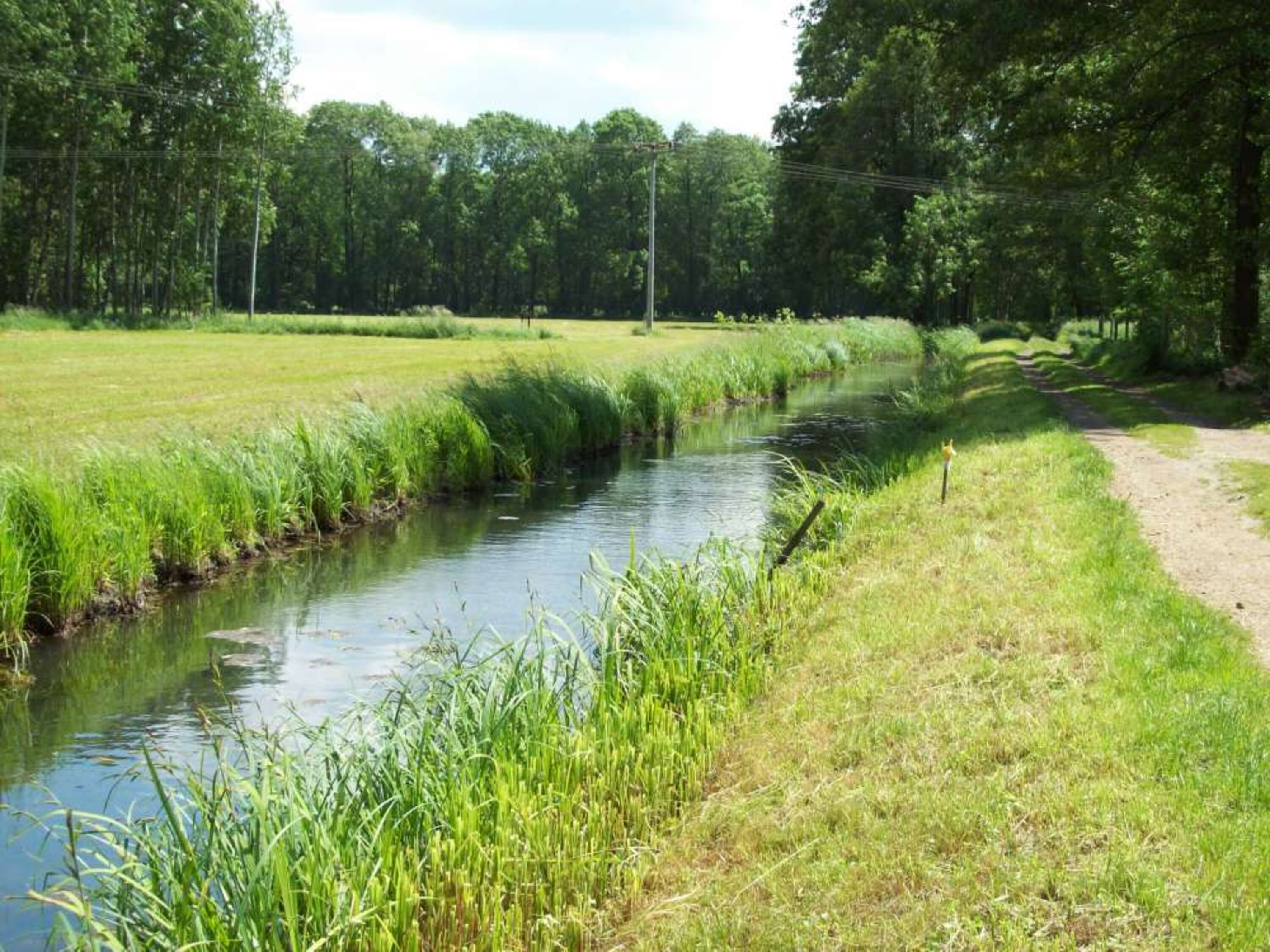 Die Spree direkt am Haus