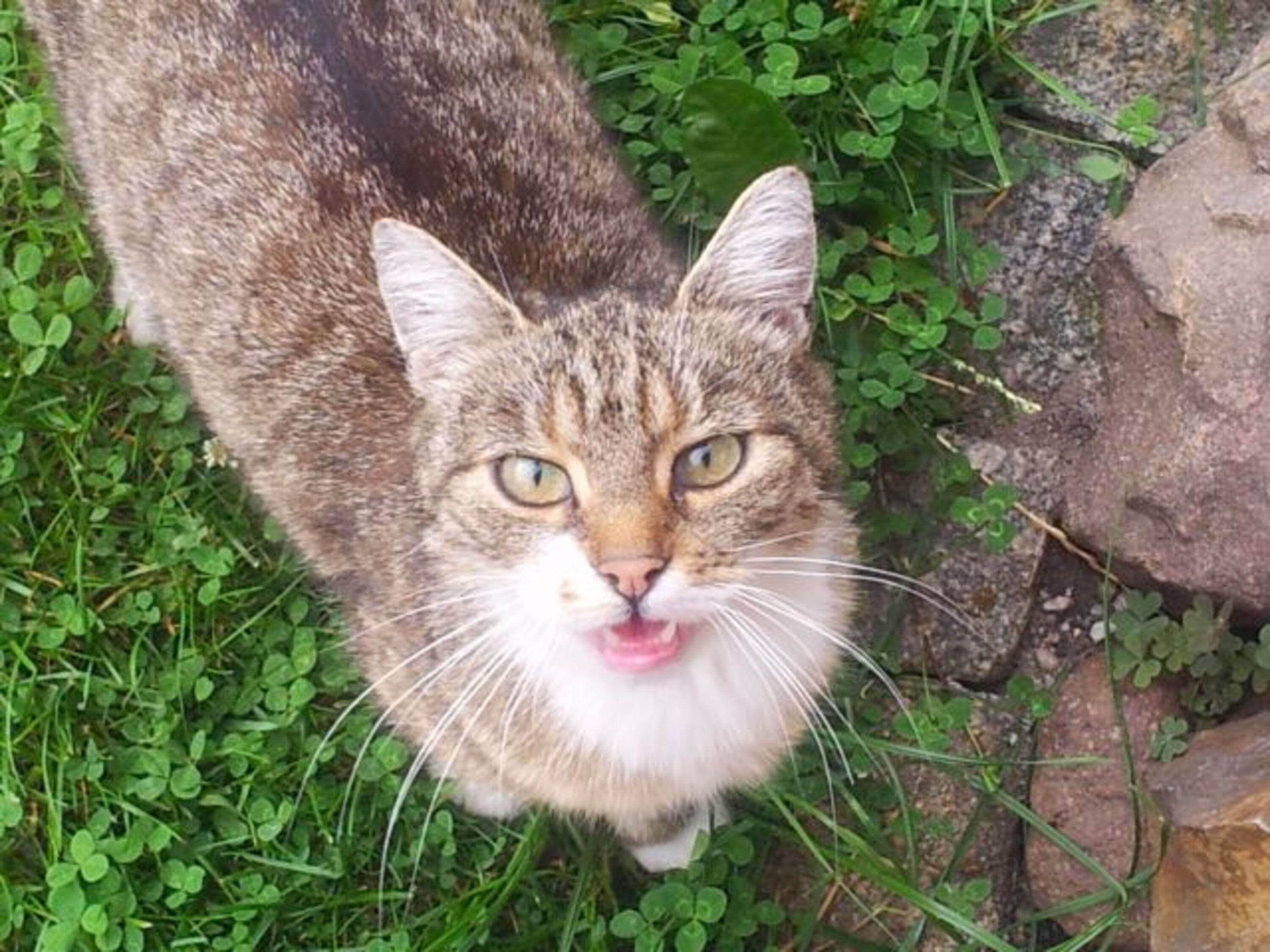 Unsere Spocky