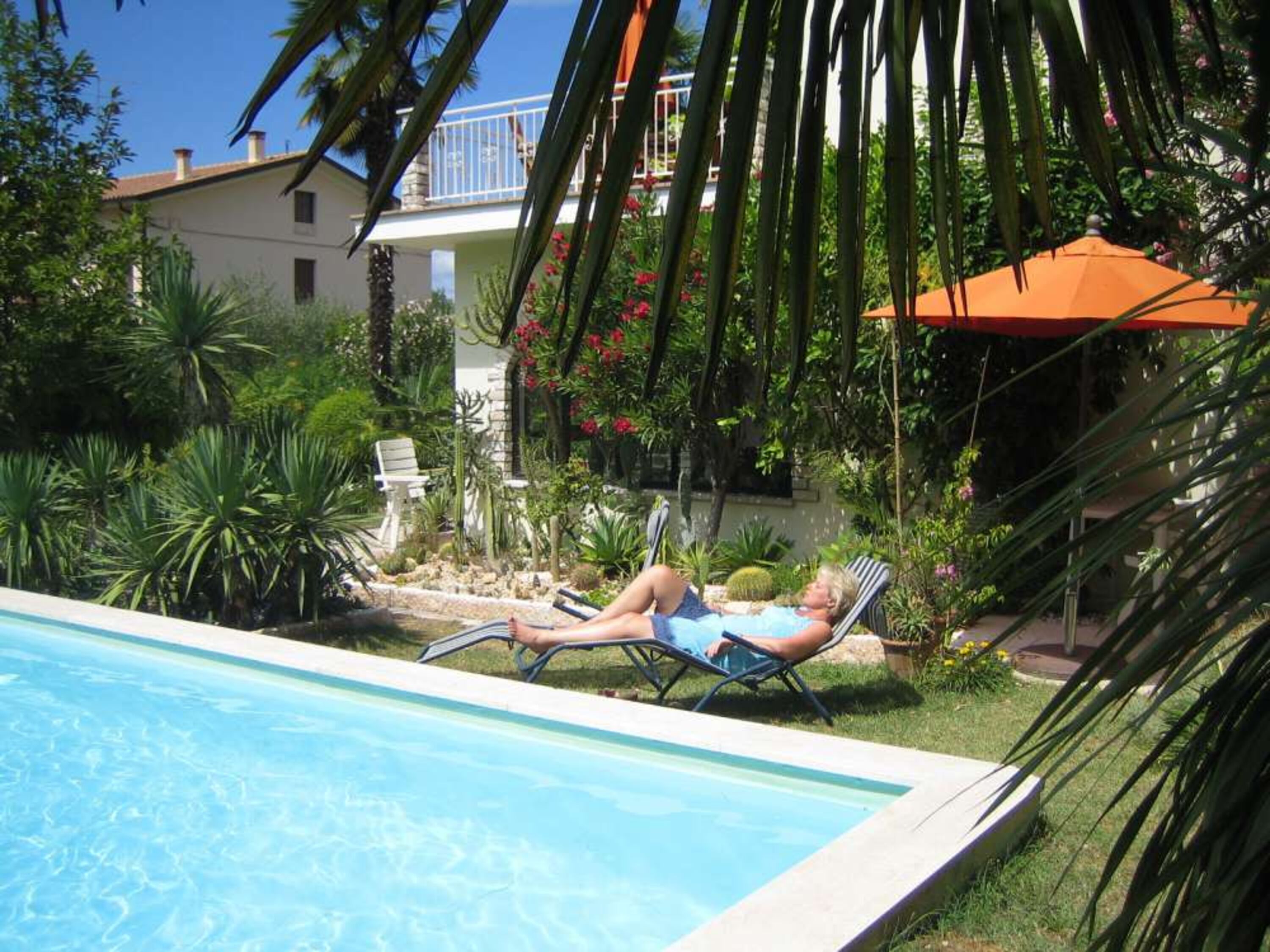 Pool mit Kaktusbeet