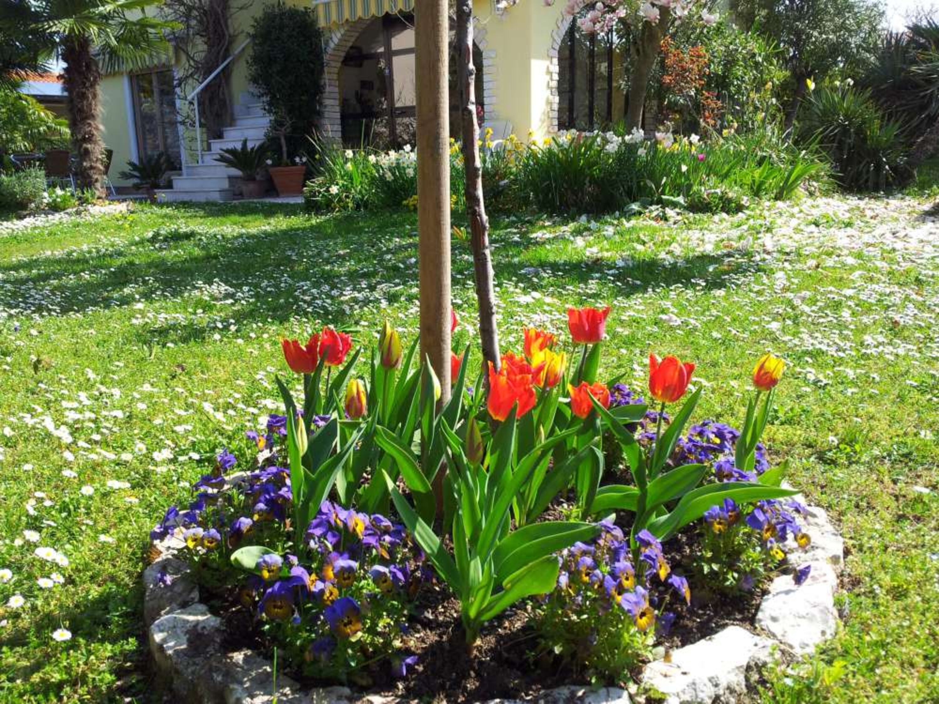 Im Frühling