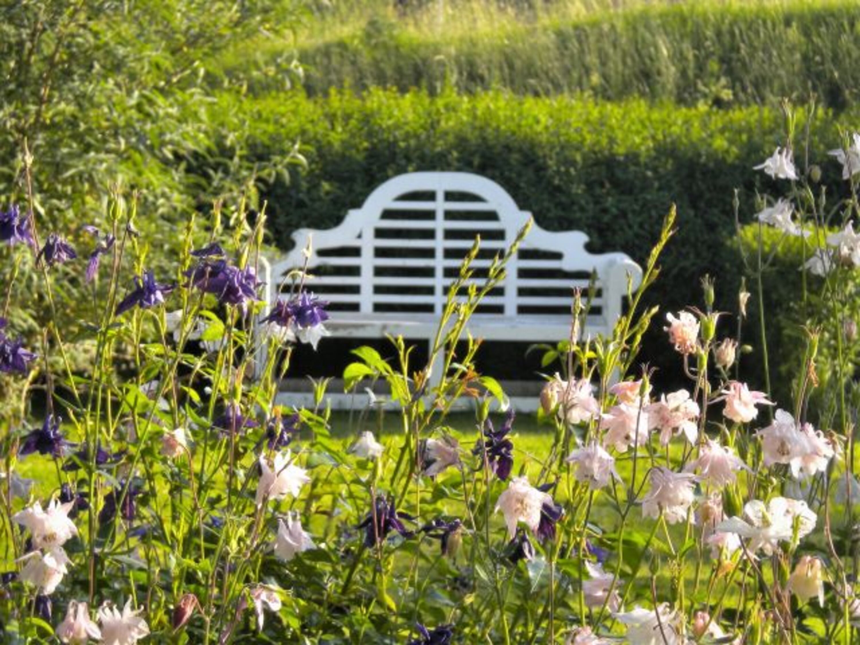 Garten-Romantik