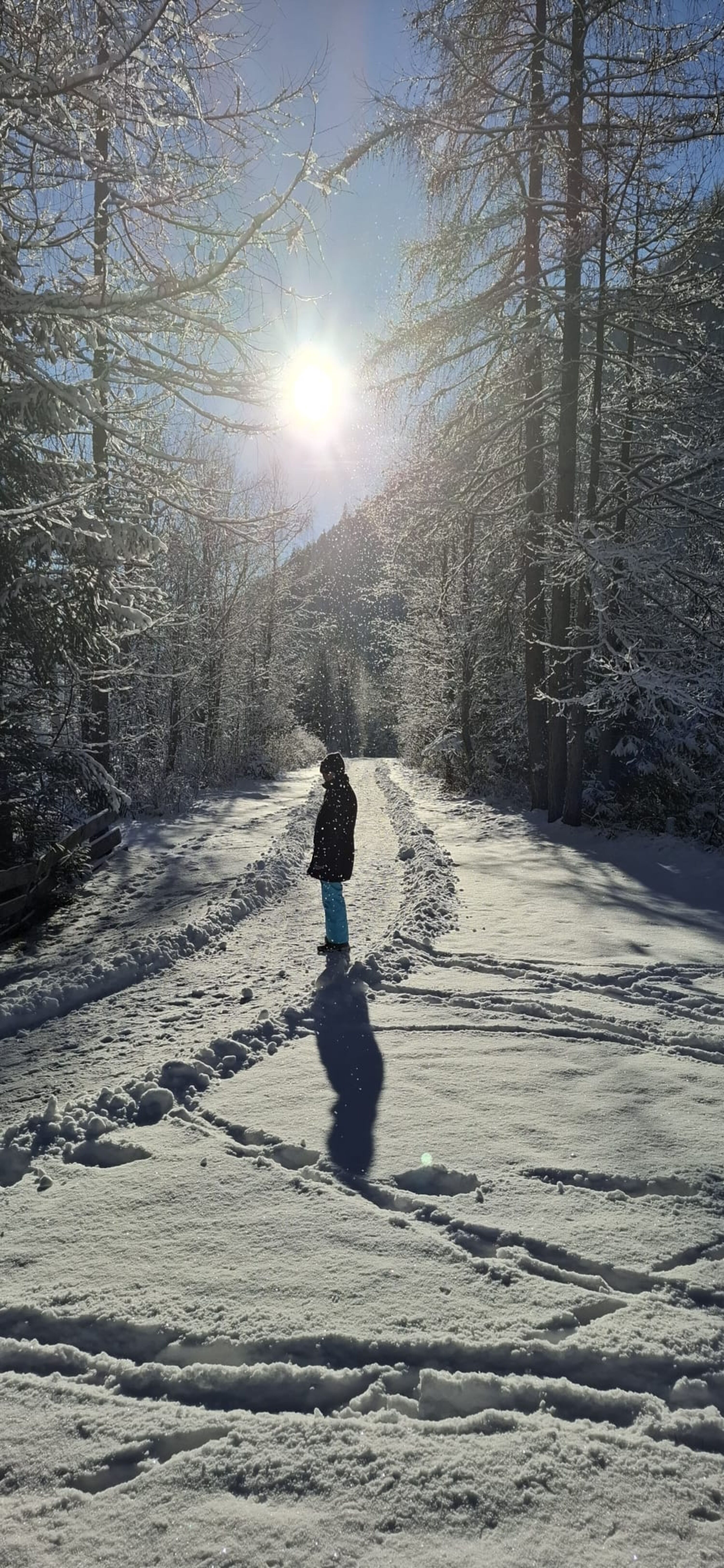 Traumhafte Winterwanderwege ab Haustür