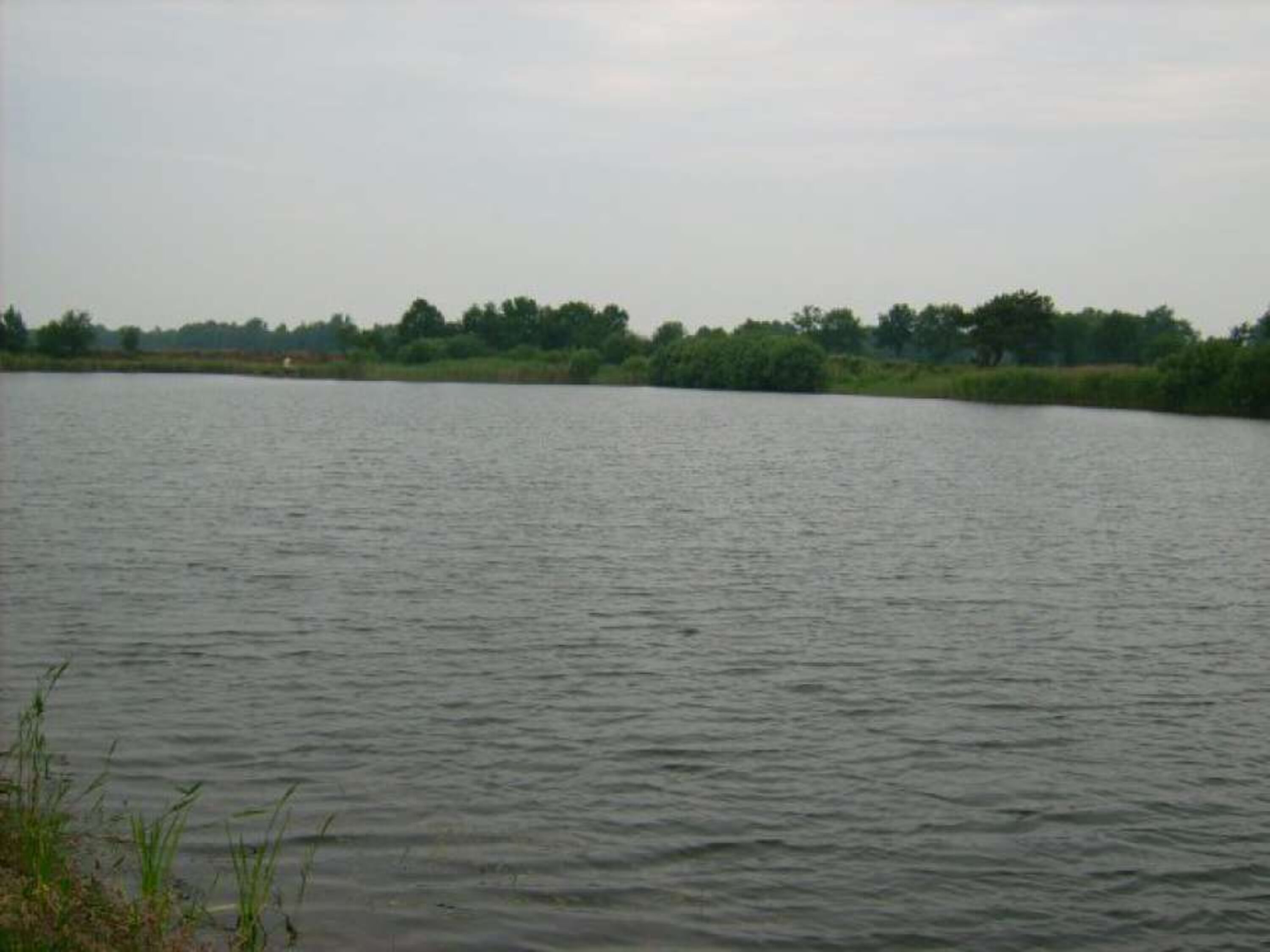 Angelsee direkt am Hof
