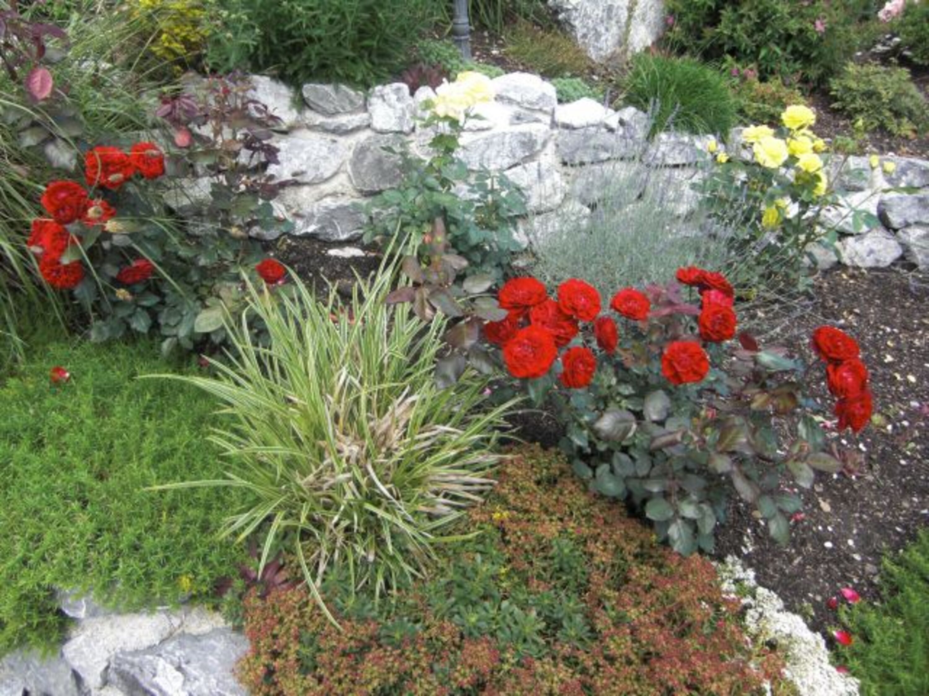 Bild 21