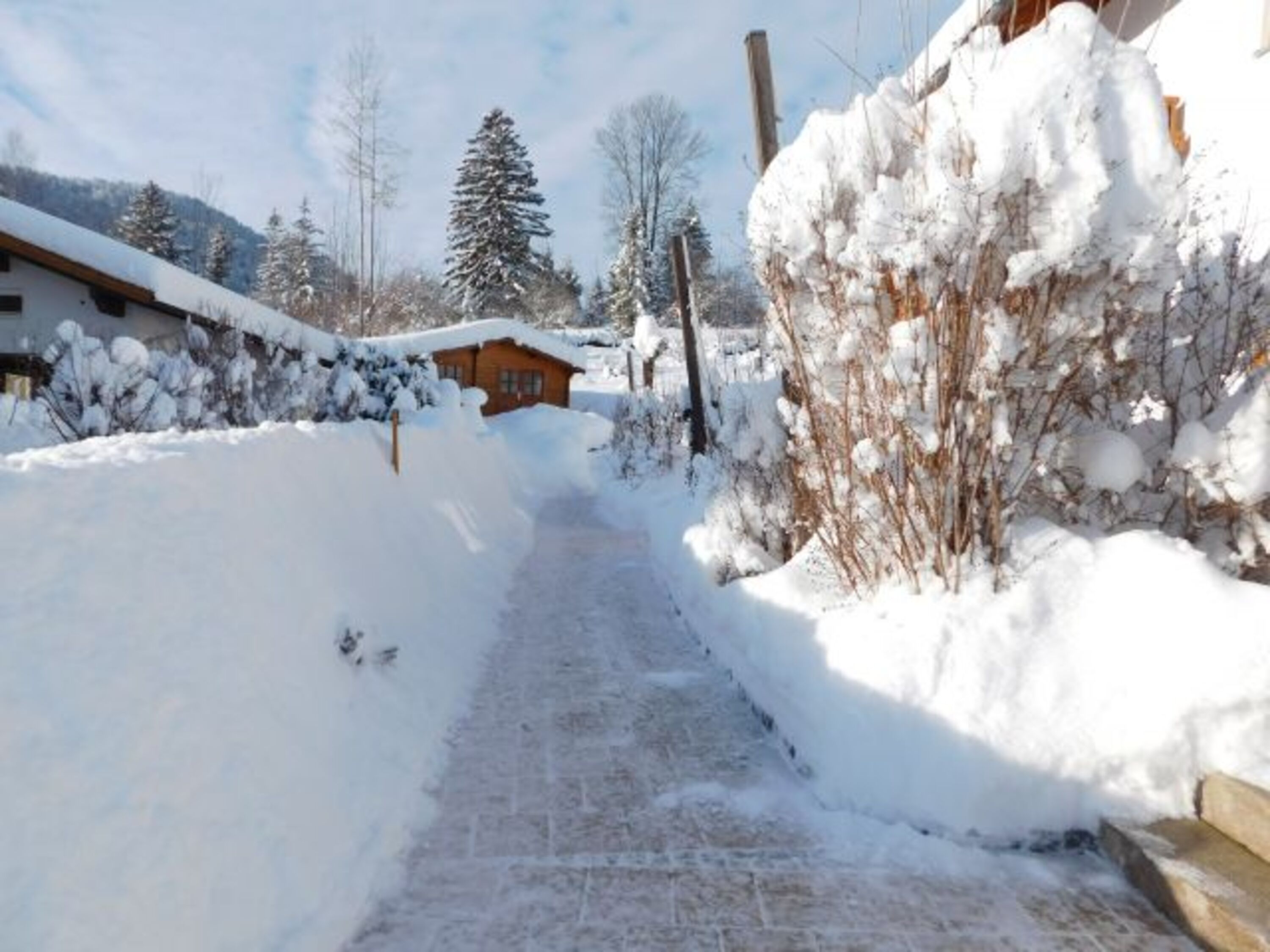 Bild 24
