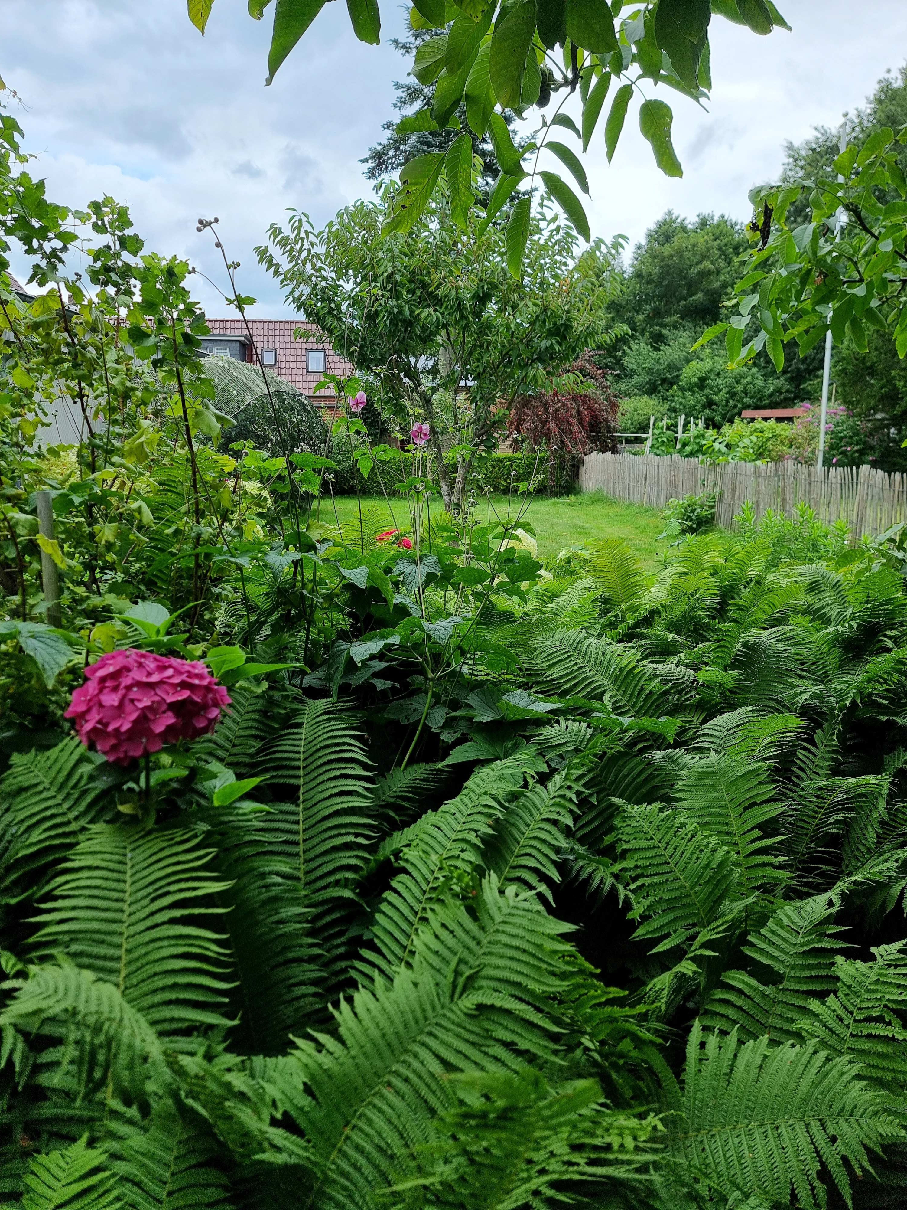 Blick in den Garten