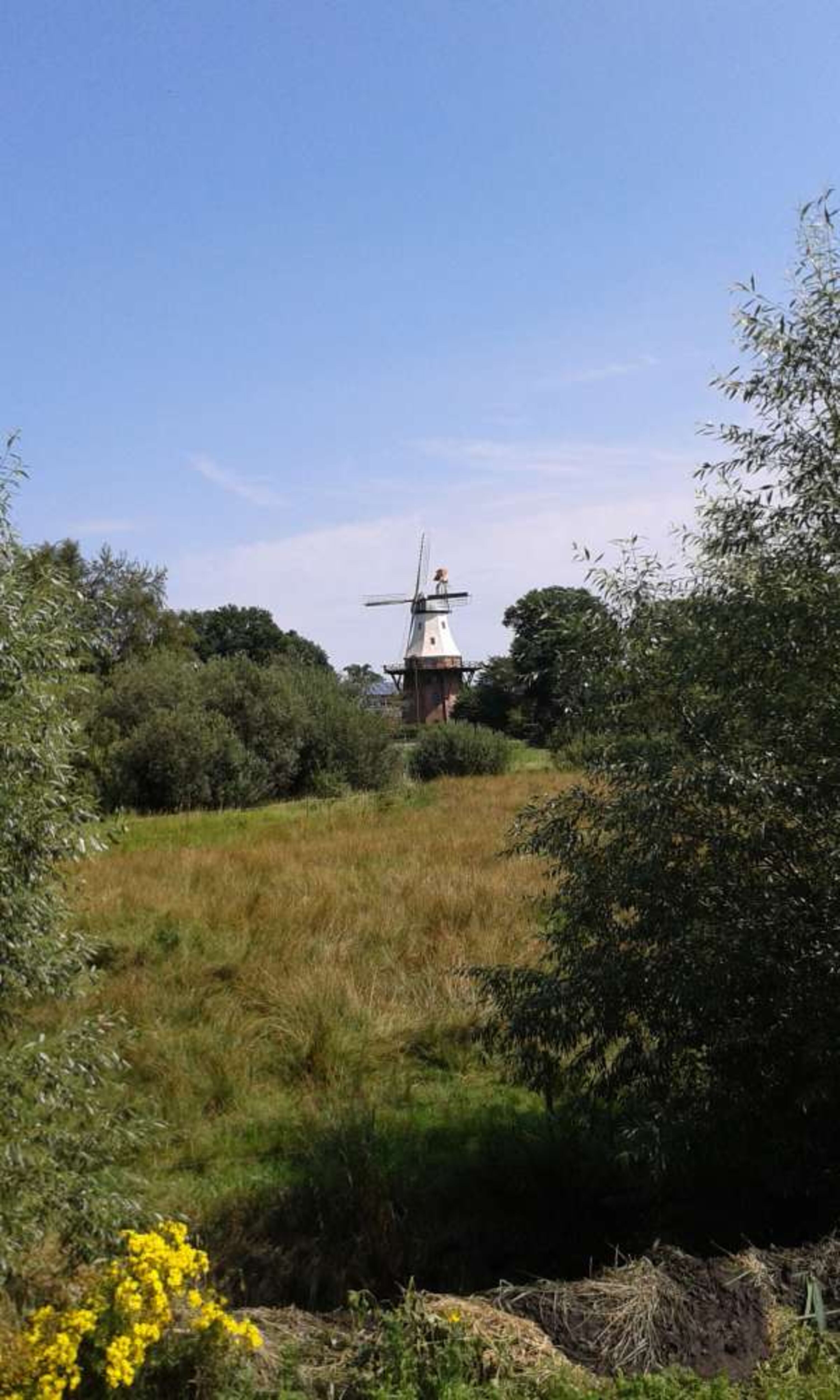 Mühle in Barßel