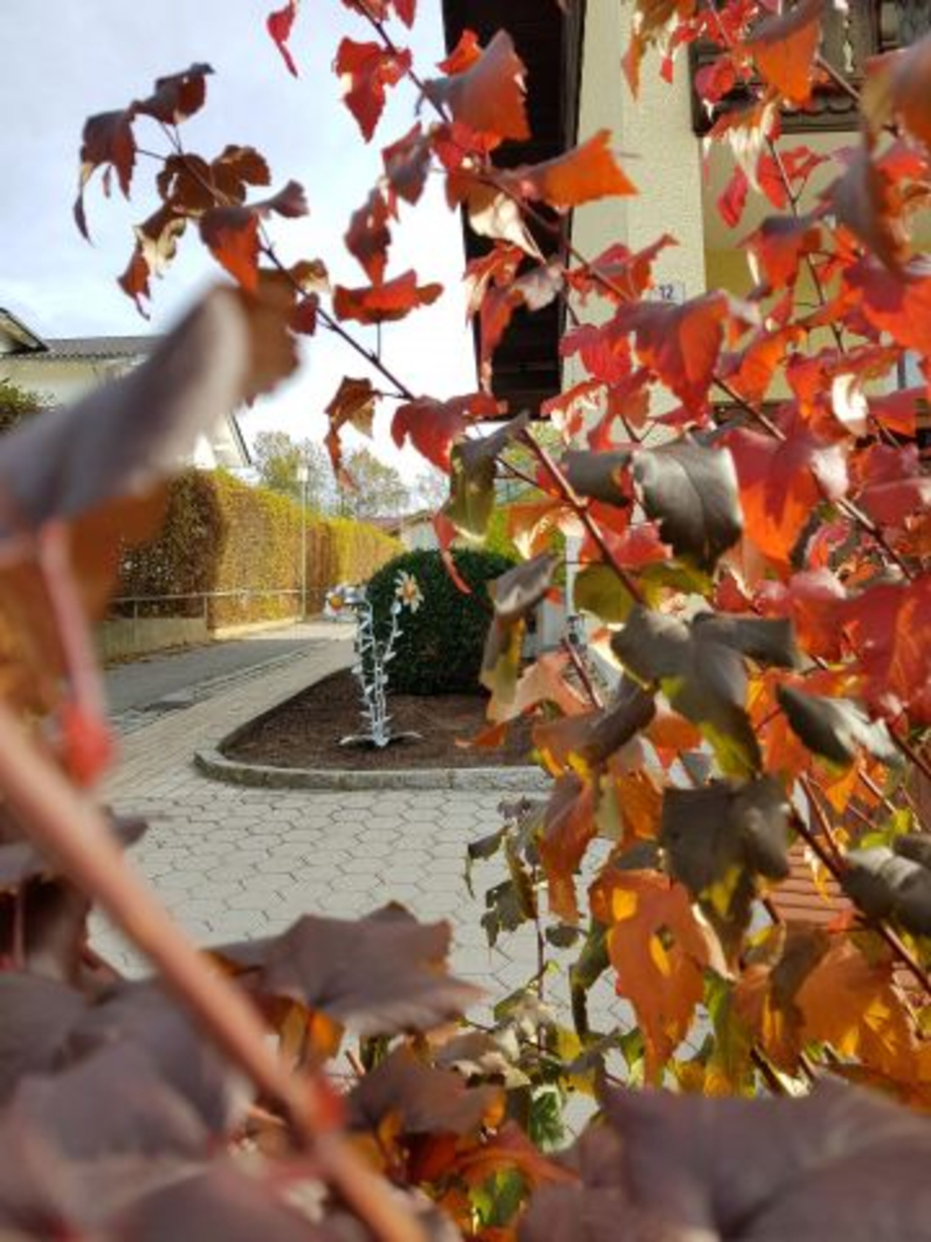 Herbst