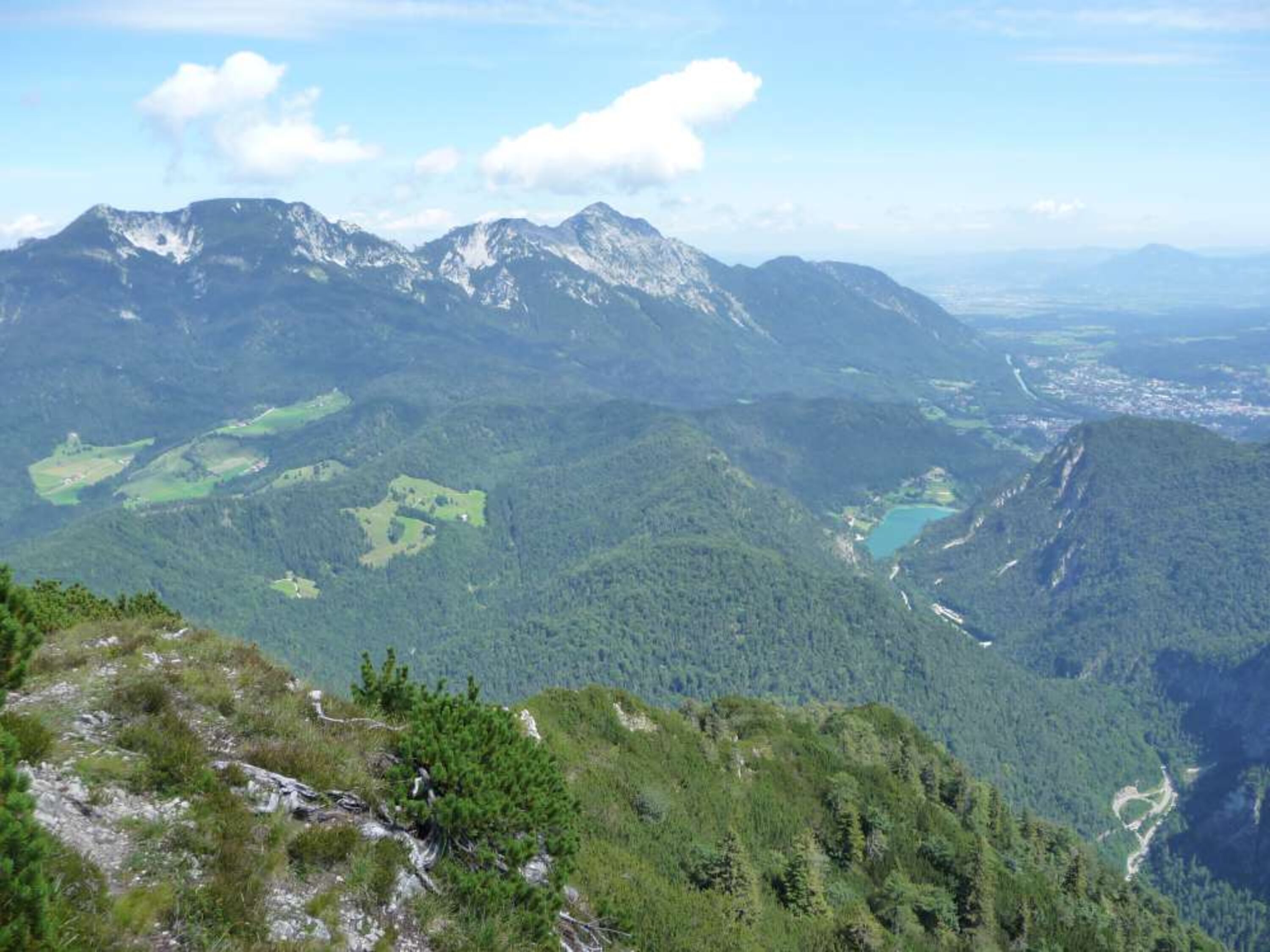 Landschaft im Sommer