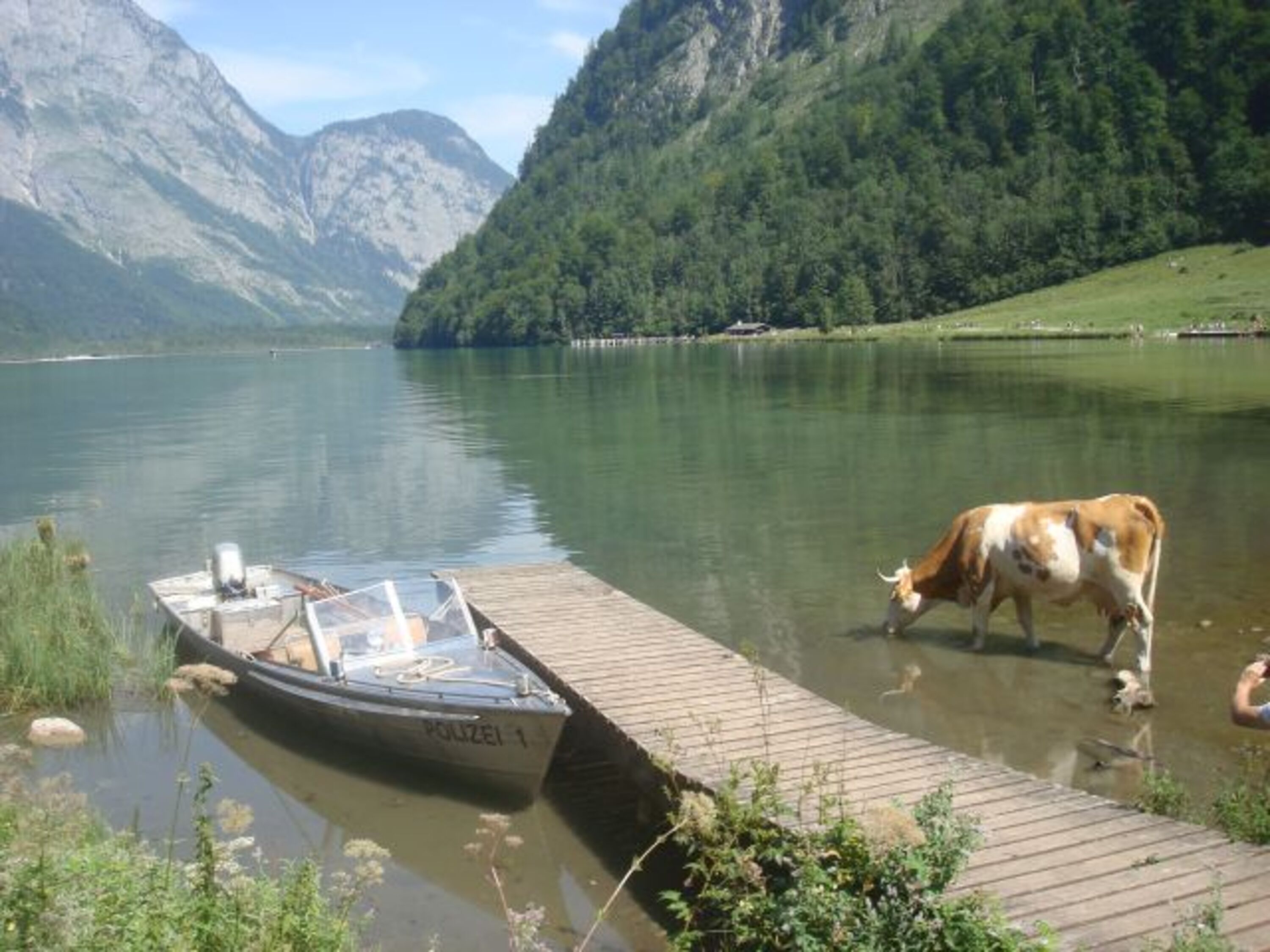 Blick über den Königsee