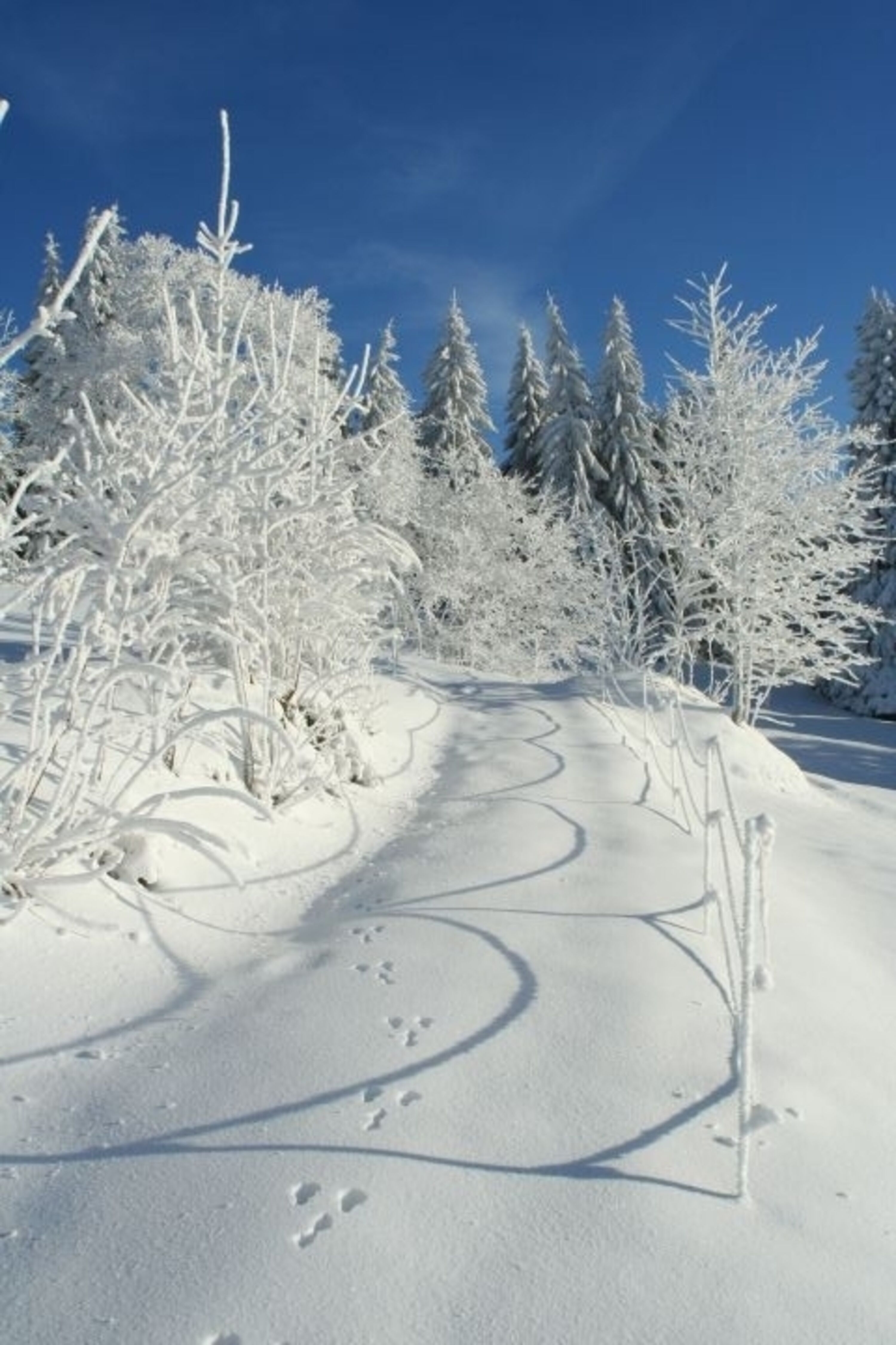 Winterbild vom 07.12.2017