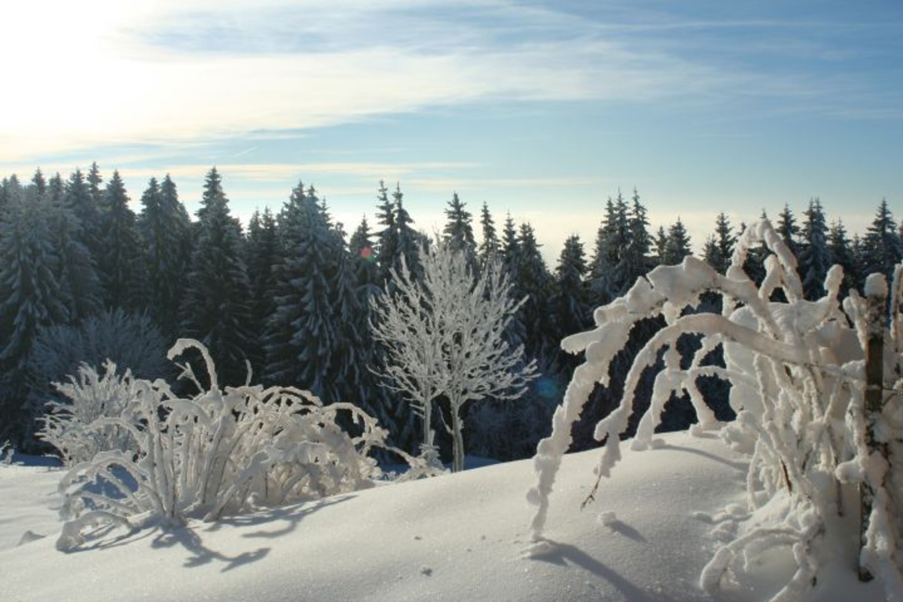 Winterbild vom 07.12.2017