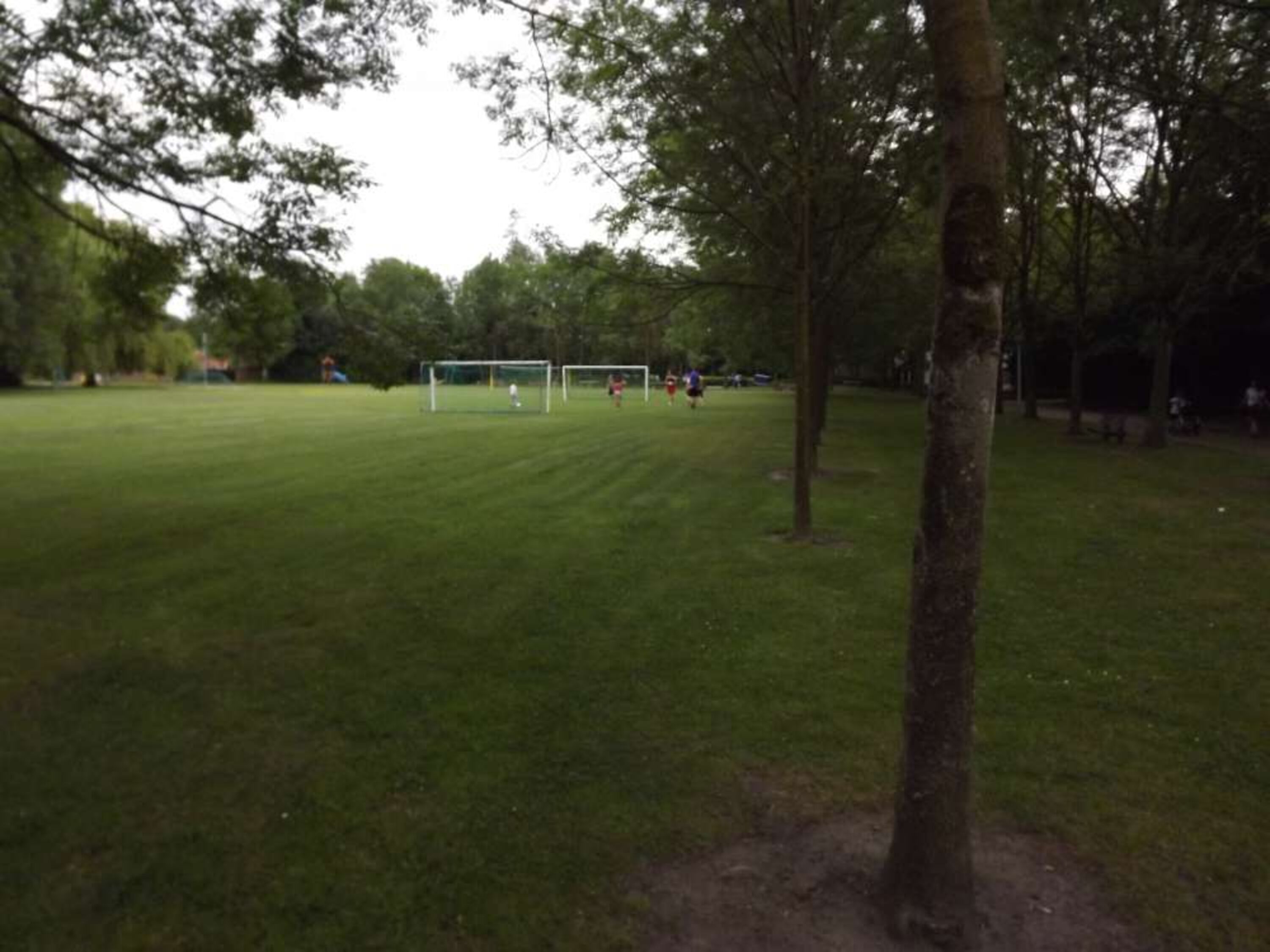 Spielfeld